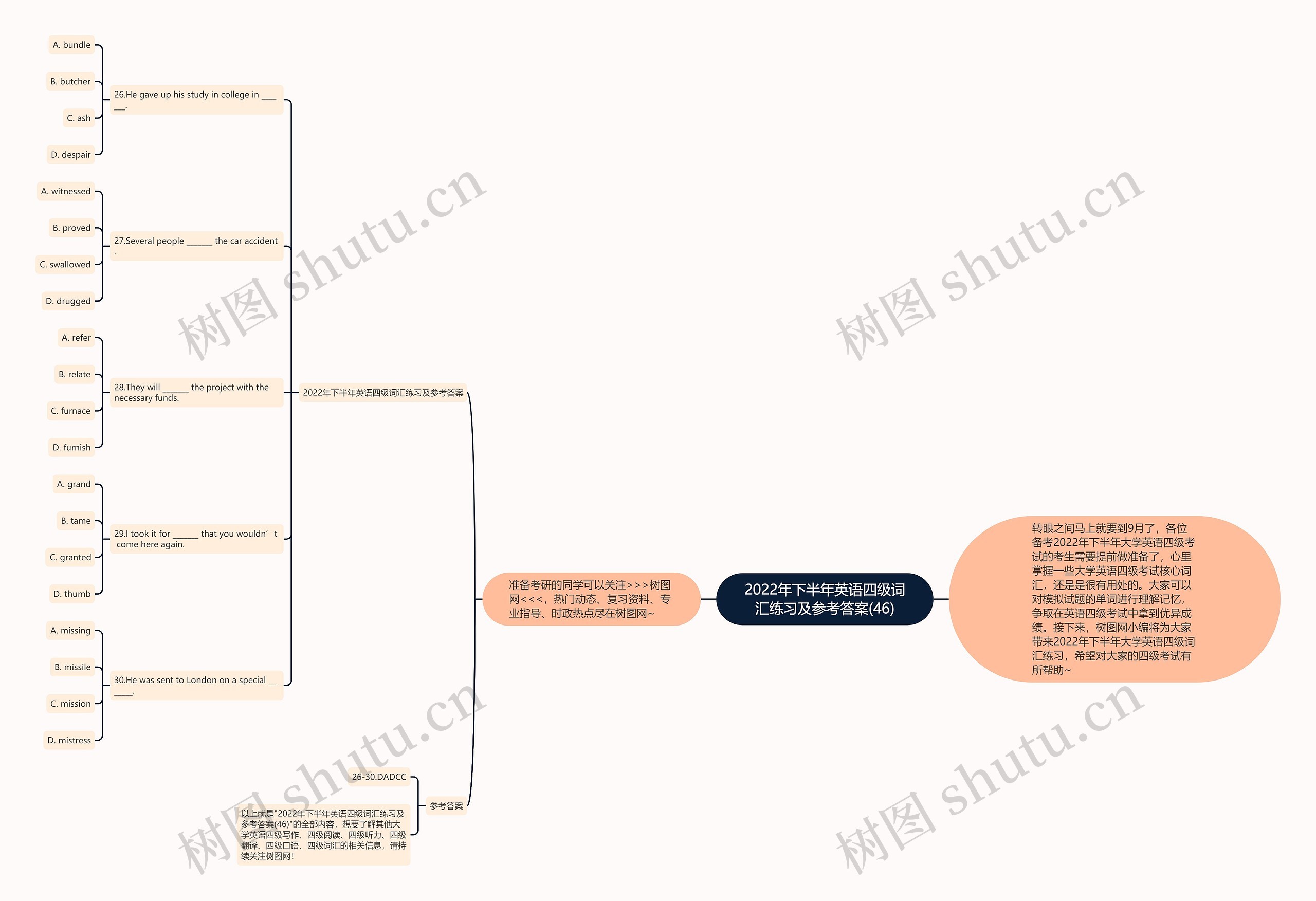 2022年下半年英语四级词汇练习及参考答案(46)思维导图