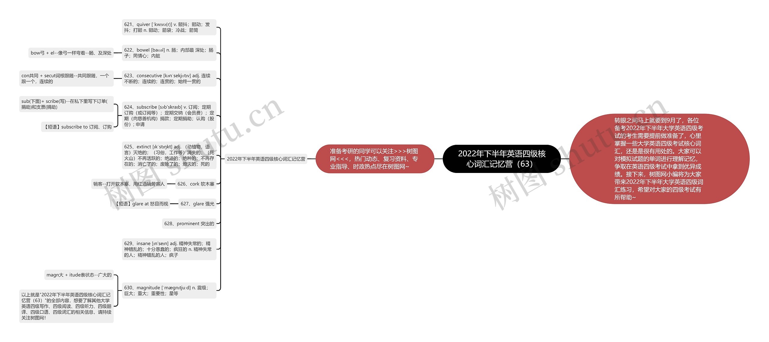 2022年下半年英语四级核心词汇记忆营（63）思维导图