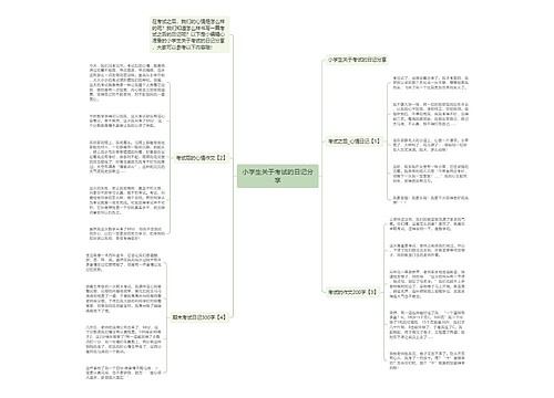 小学生关于考试的日记分享