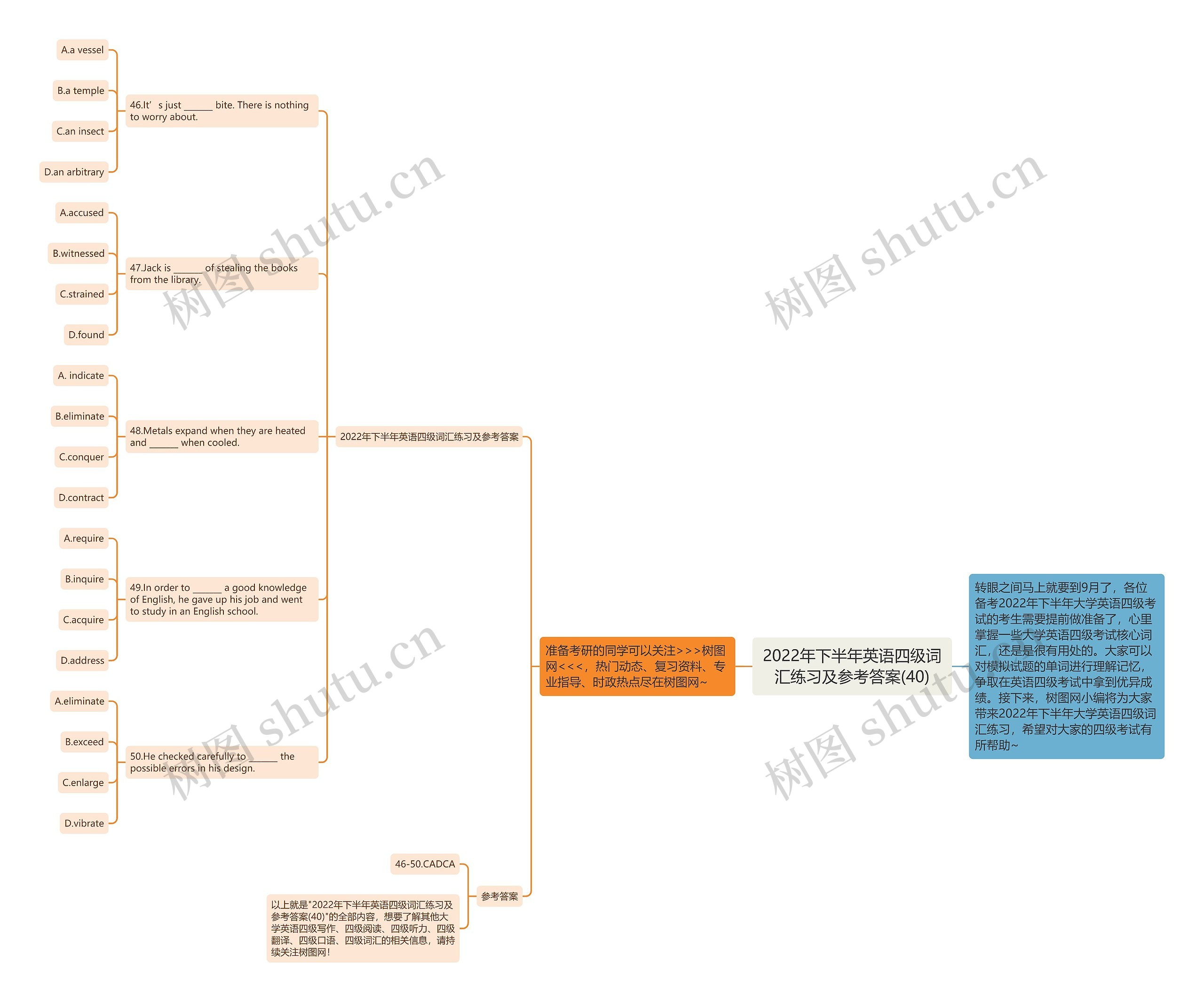 2022年下半年英语四级词汇练习及参考答案(40)思维导图