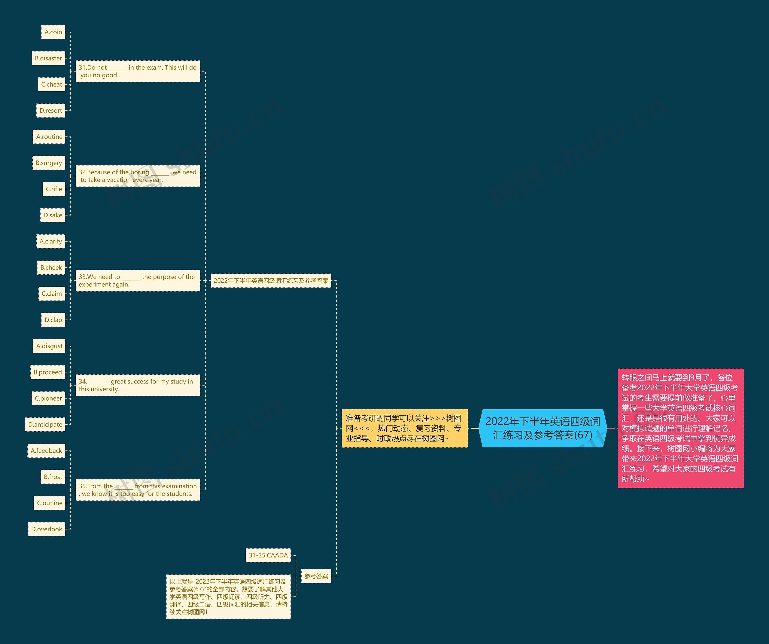2022年下半年英语四级词汇练习及参考答案(67)思维导图