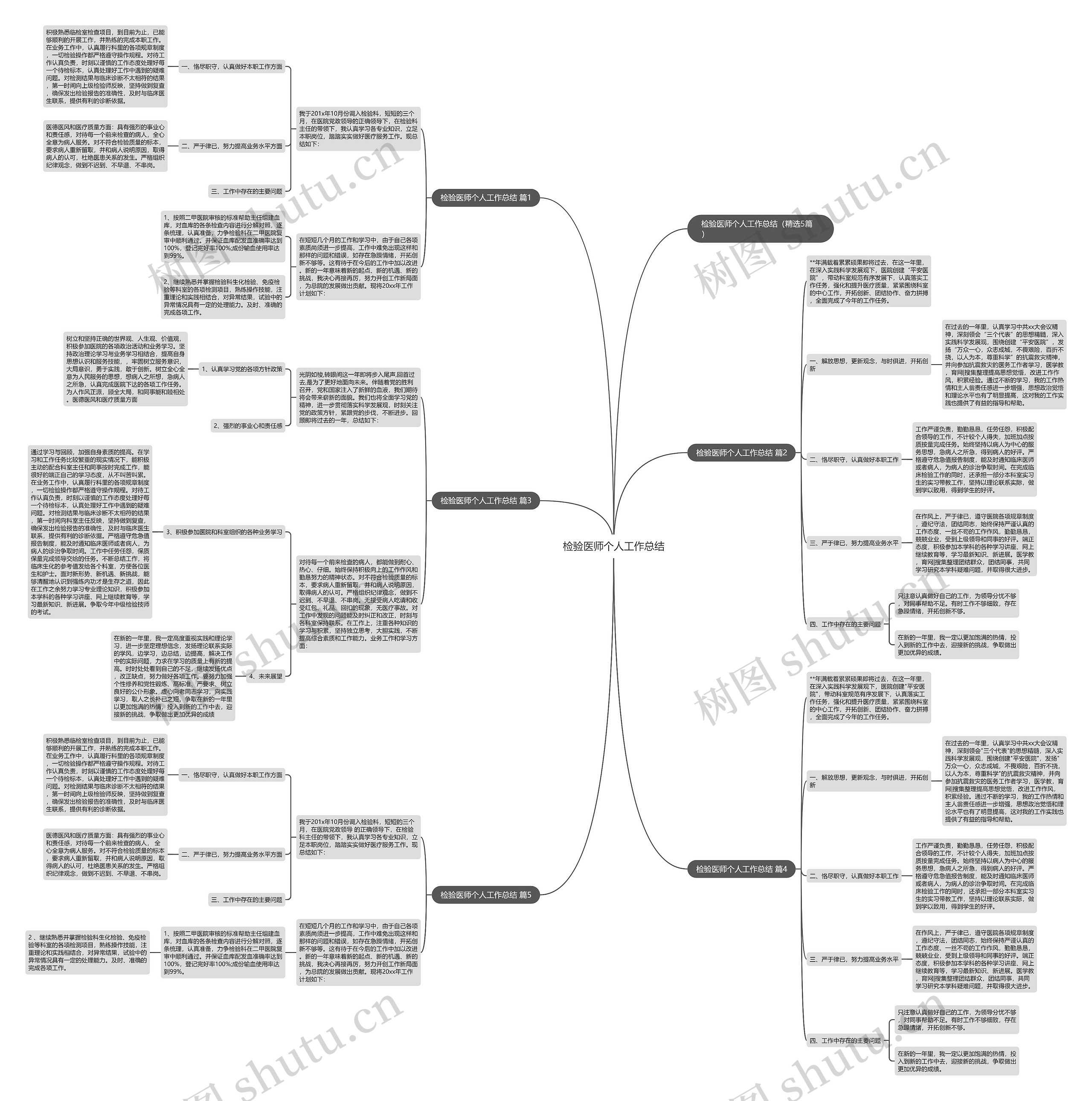 检验医师个人工作总结思维导图