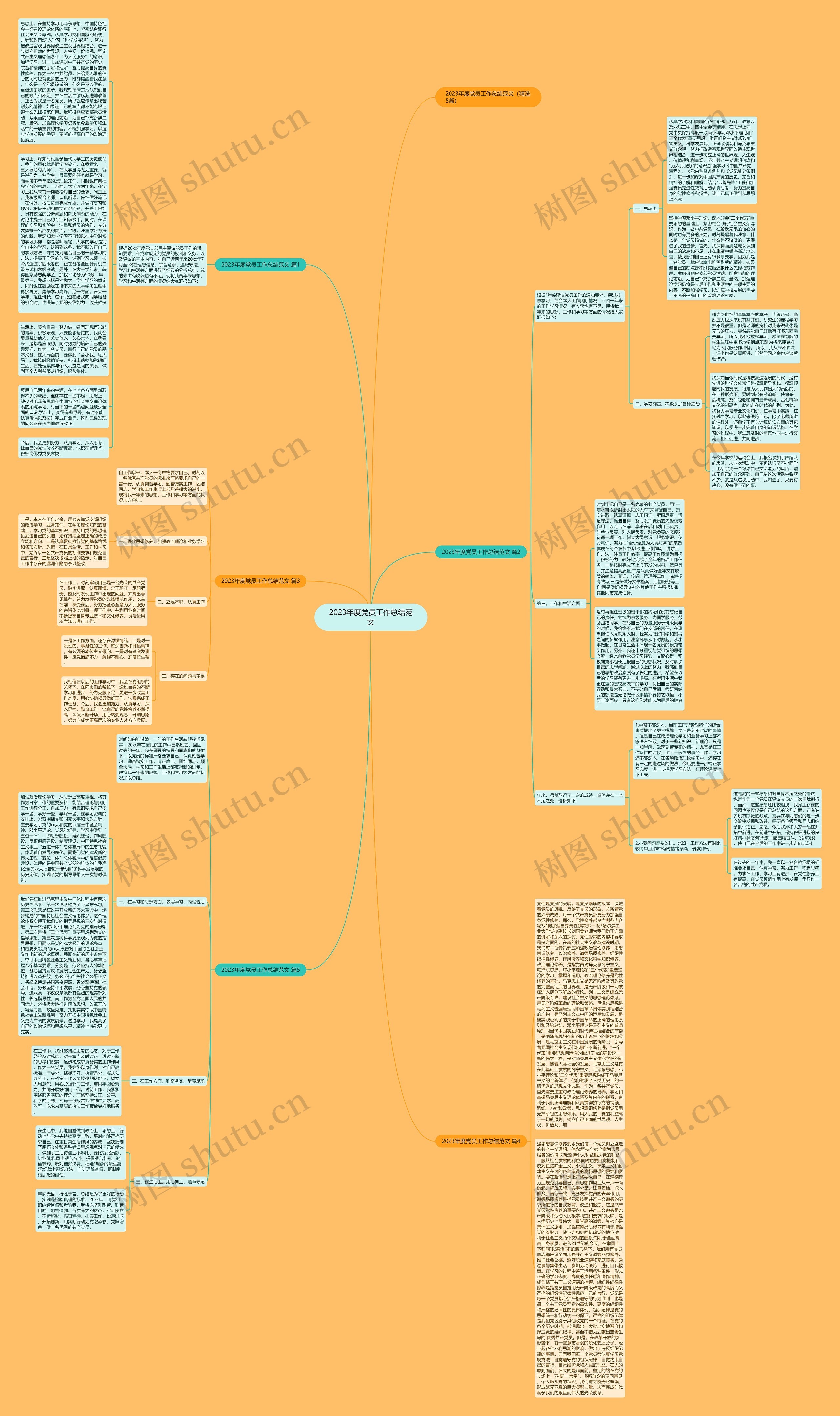 2023年度党员工作总结范文思维导图