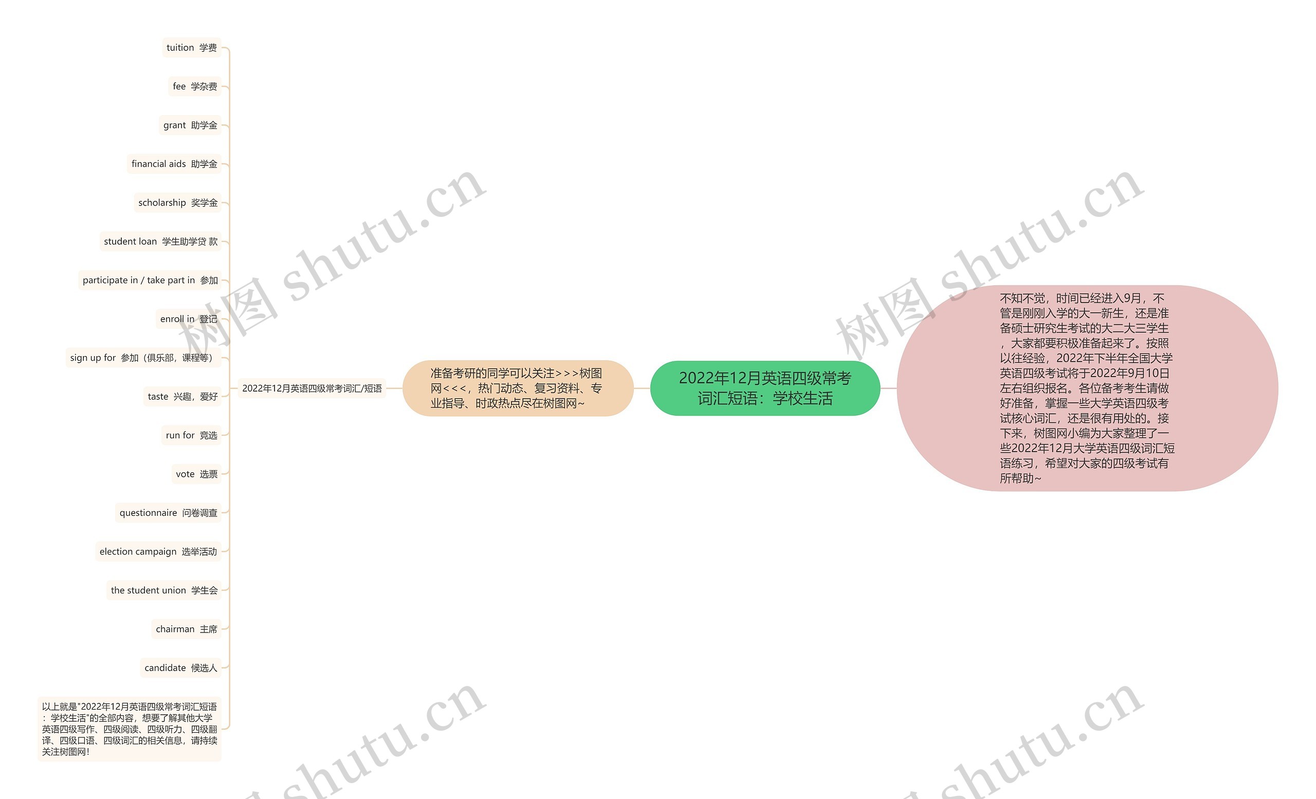 2022年12月英语四级常考词汇短语：学校生活思维导图