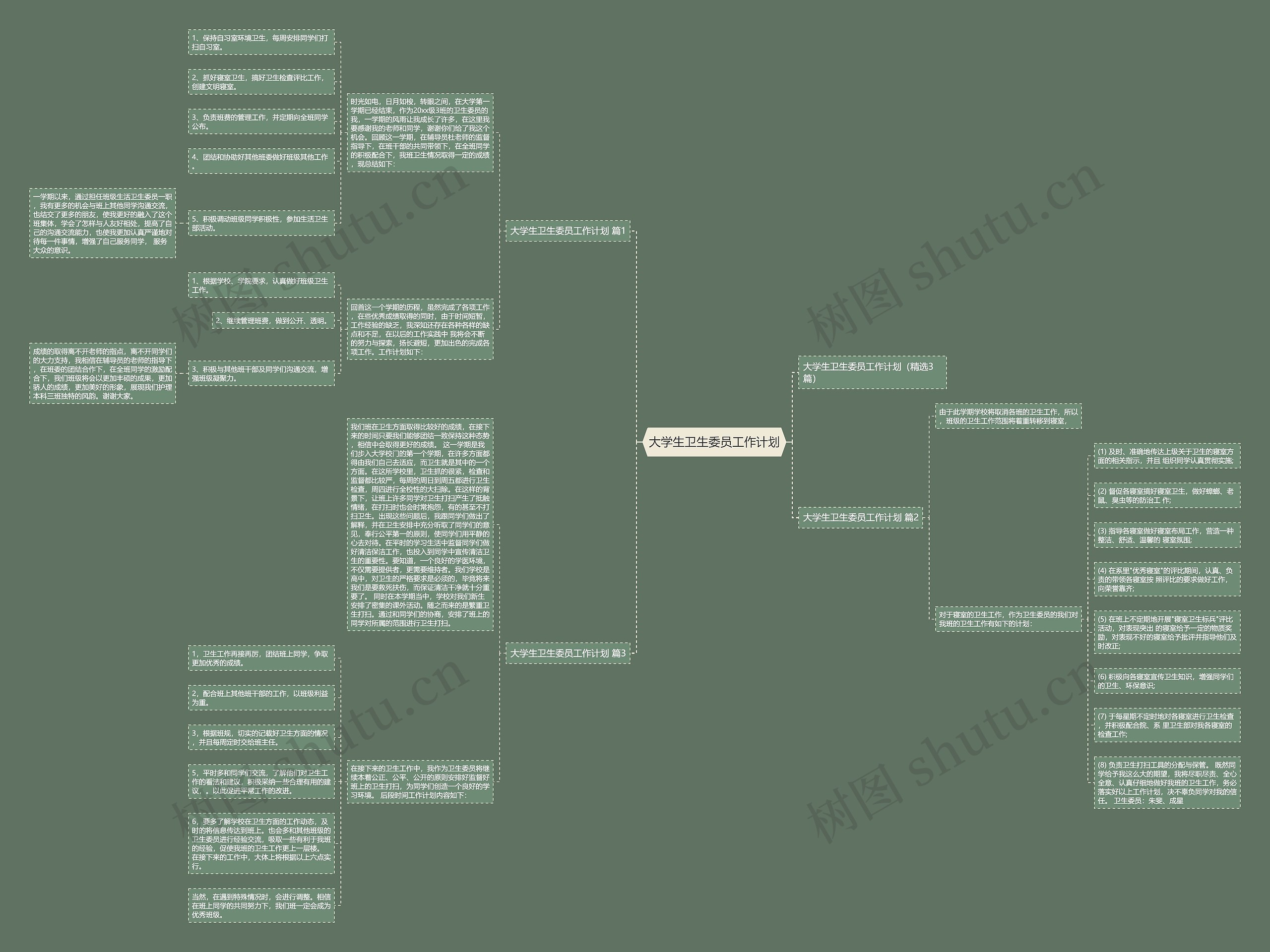 大学生卫生委员工作计划思维导图