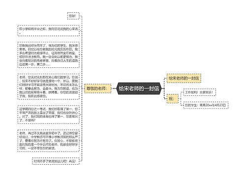 给宋老师的一封信