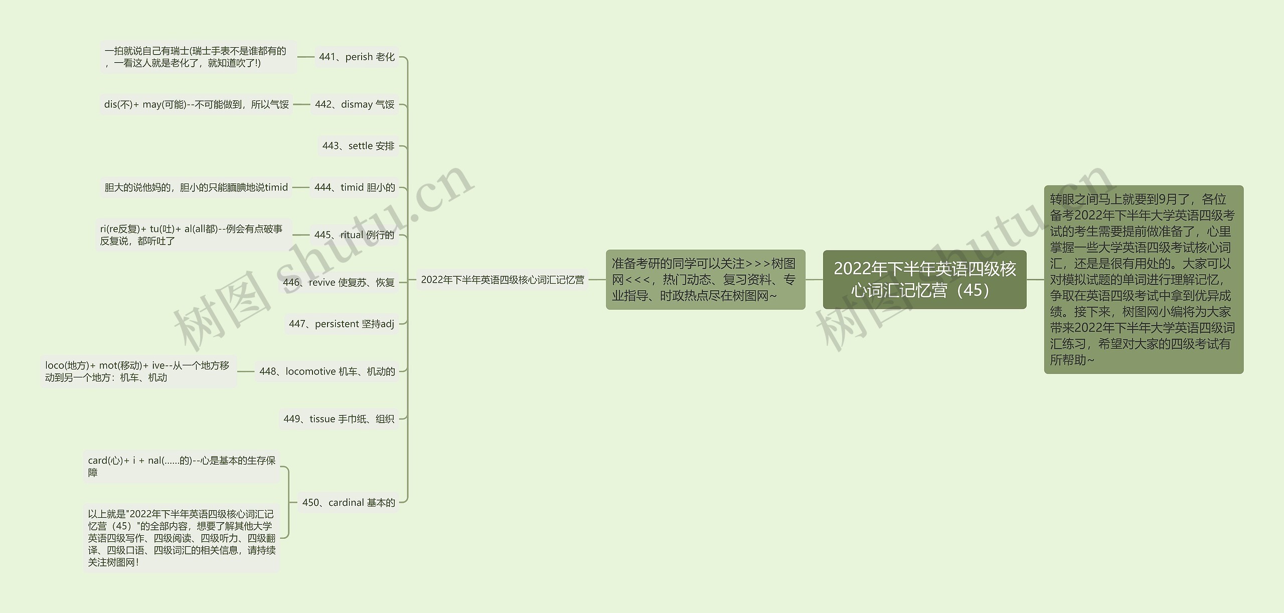 2022年下半年英语四级核心词汇记忆营（45）