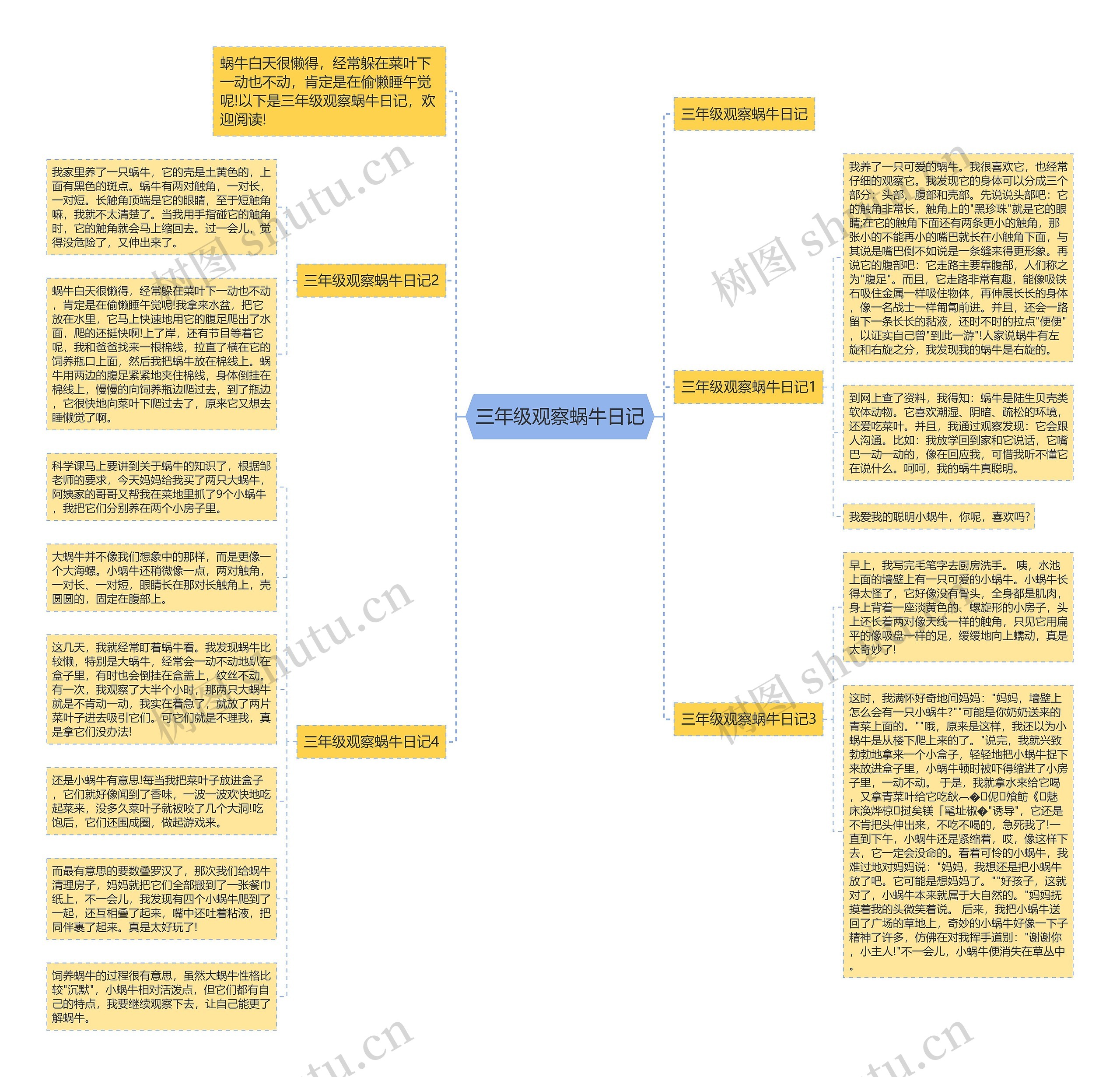 三年级观察蜗牛日记思维导图