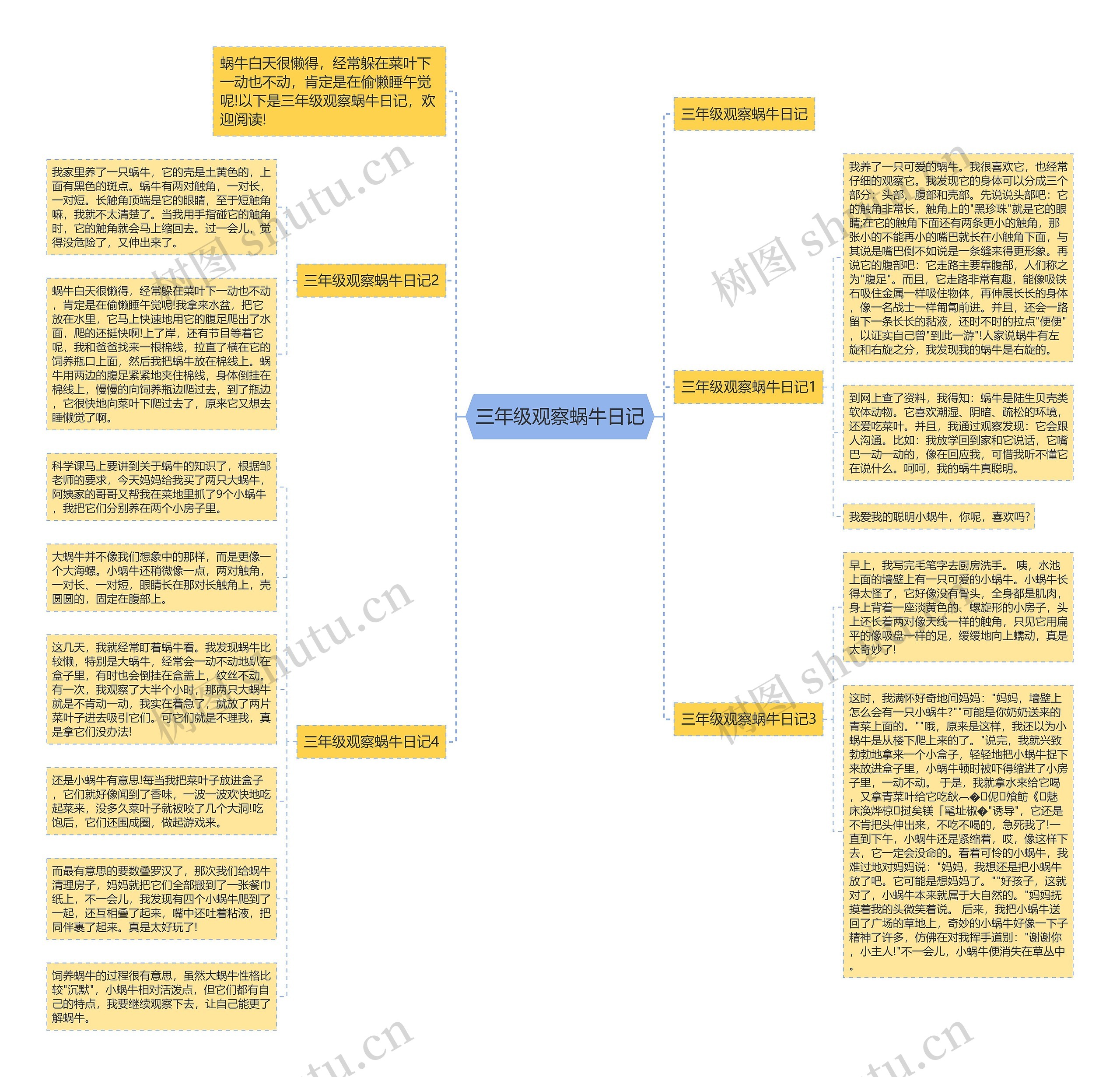 三年级观察蜗牛日记 三年级观察蜗牛日记