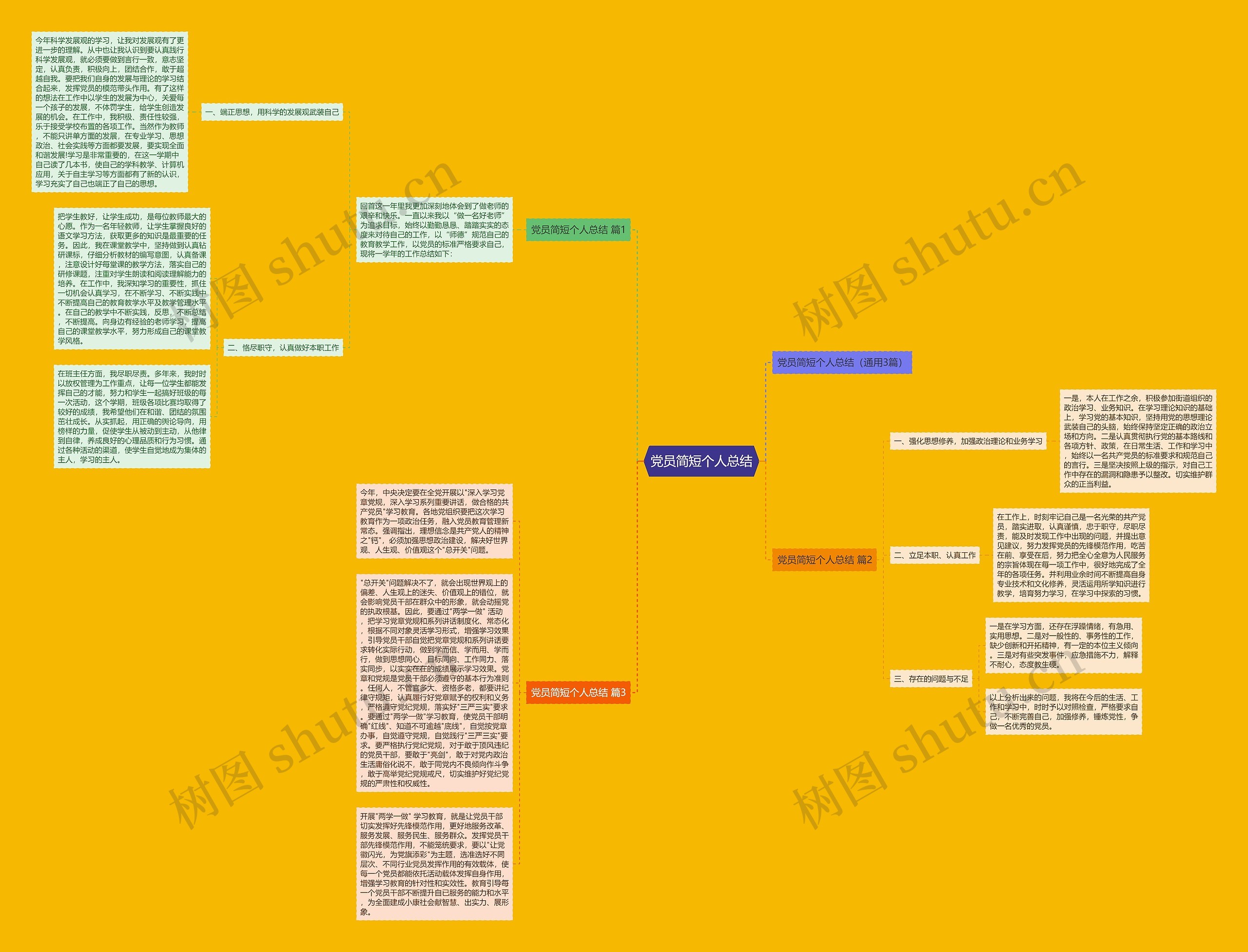 党员简短个人总结思维导图