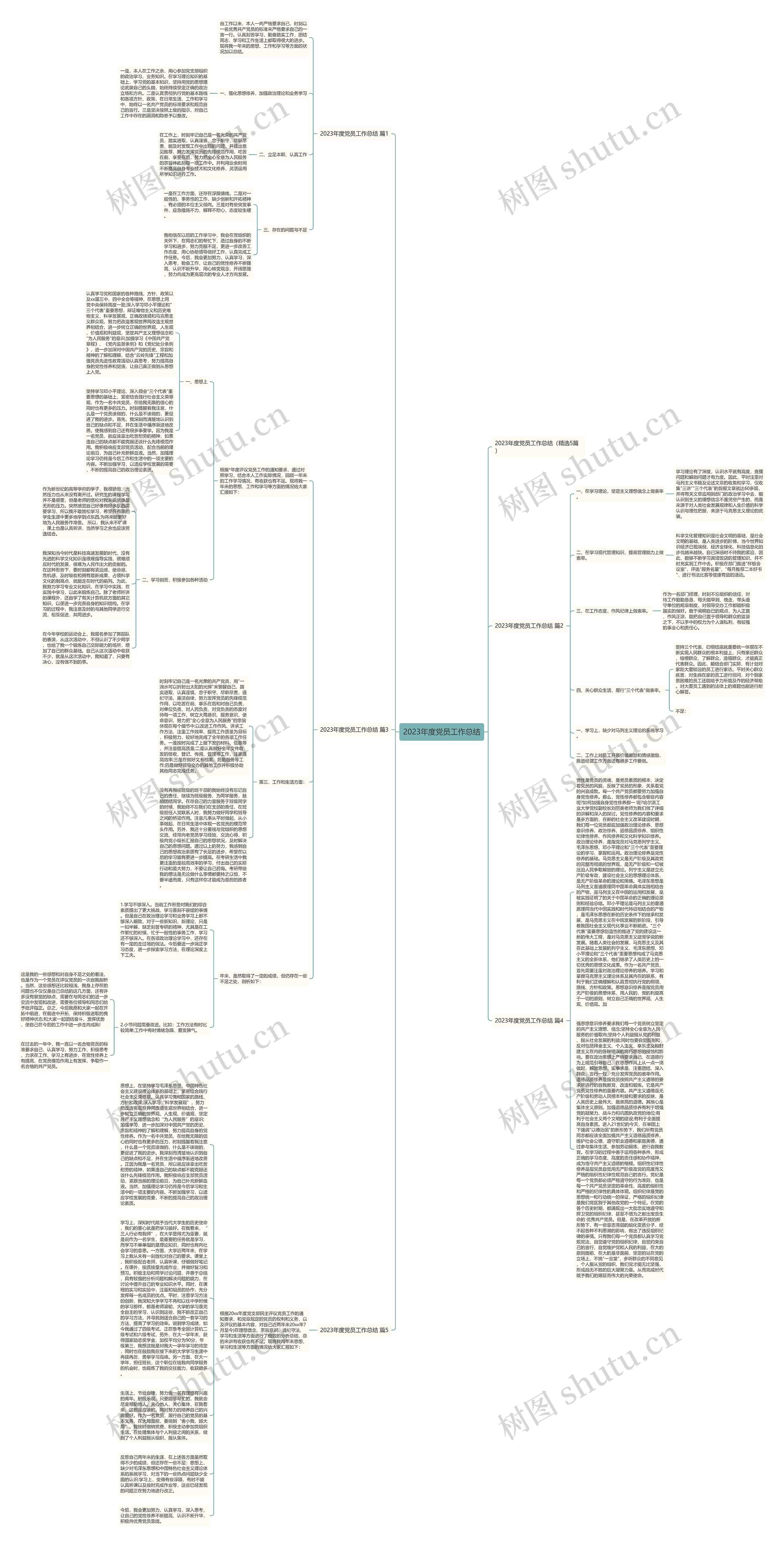 2023年度党员工作总结思维导图