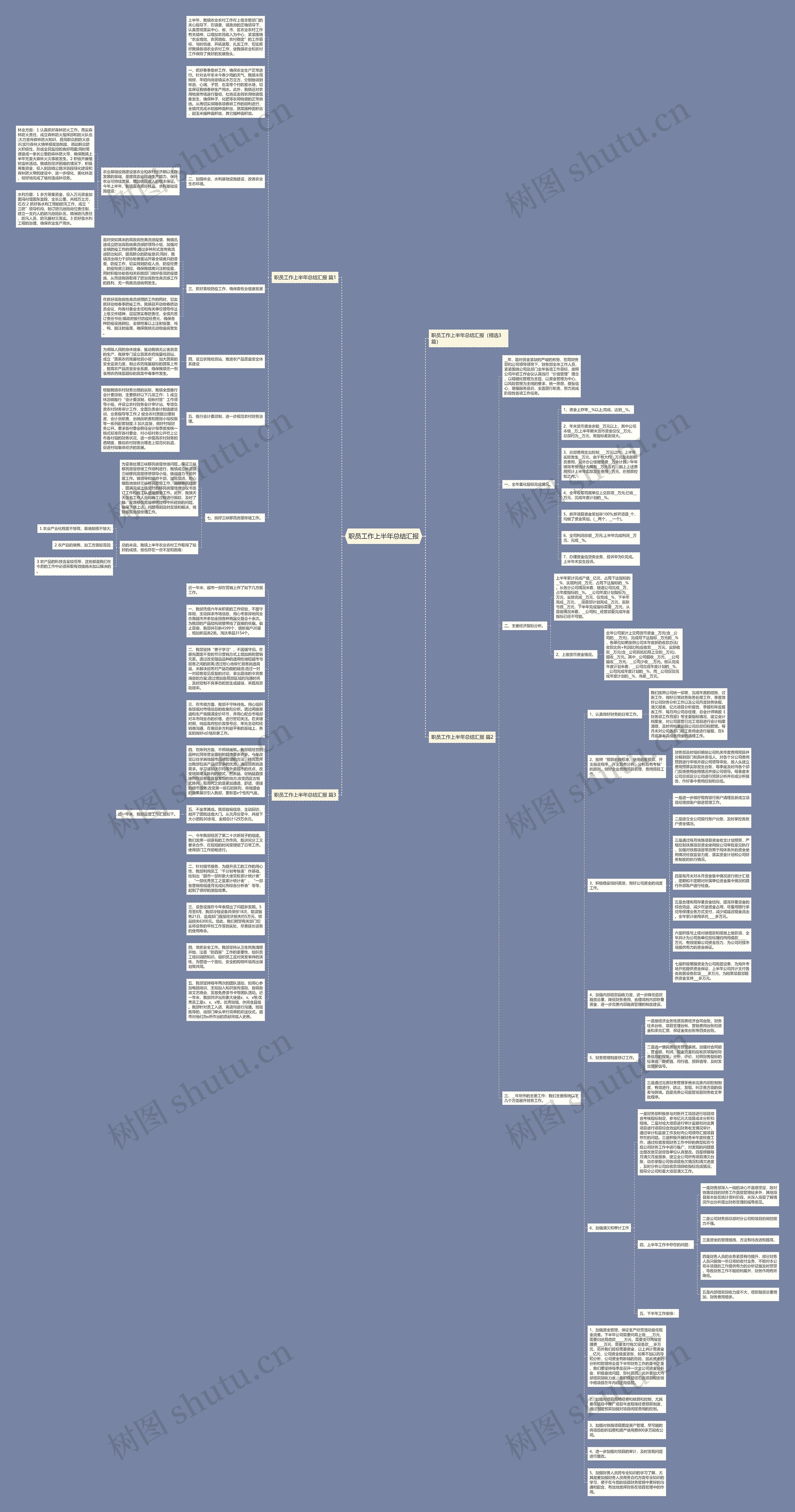职员工作上半年总结汇报思维导图