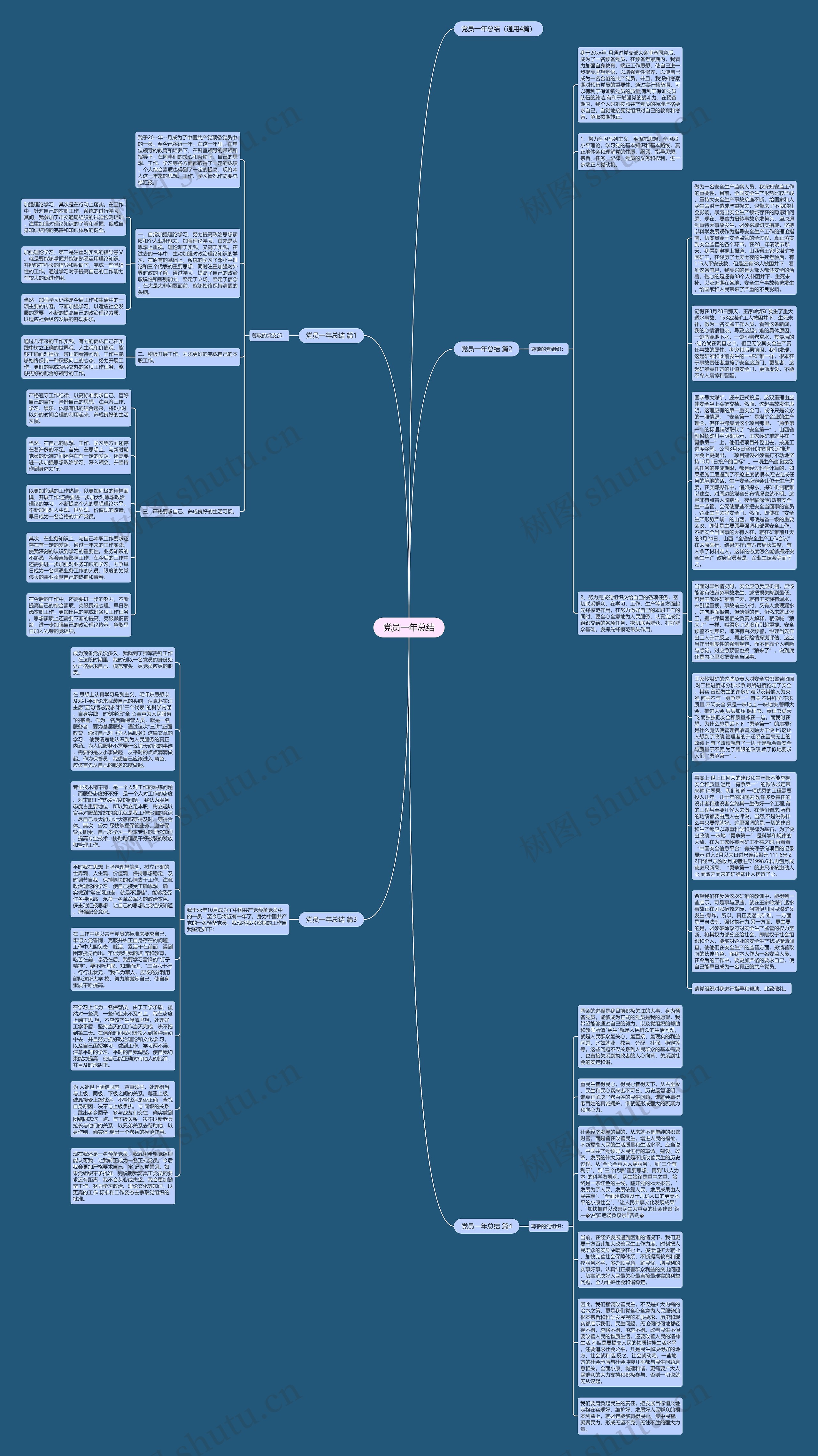 党员一年总结思维导图