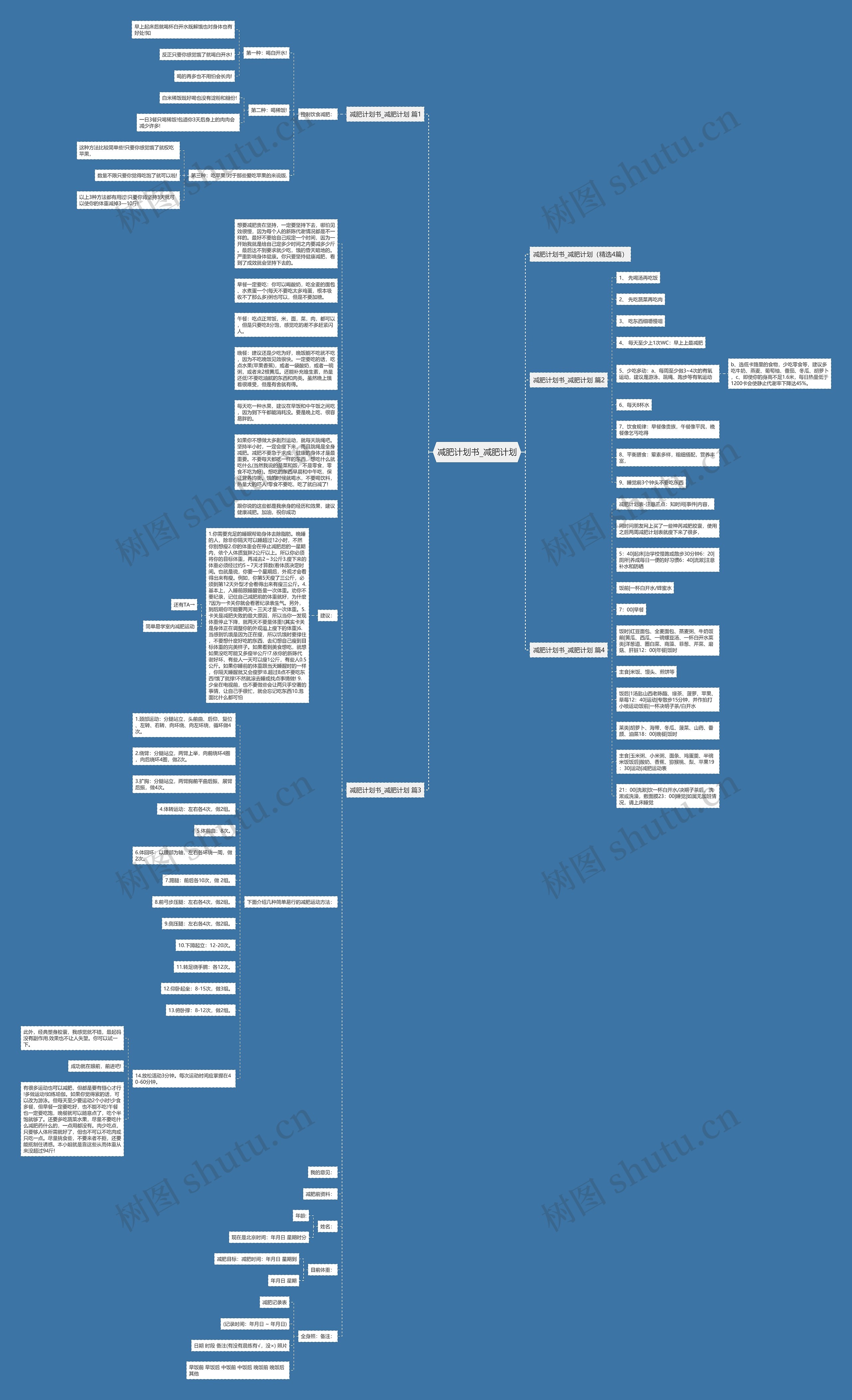 减肥计划书_减肥计划思维导图