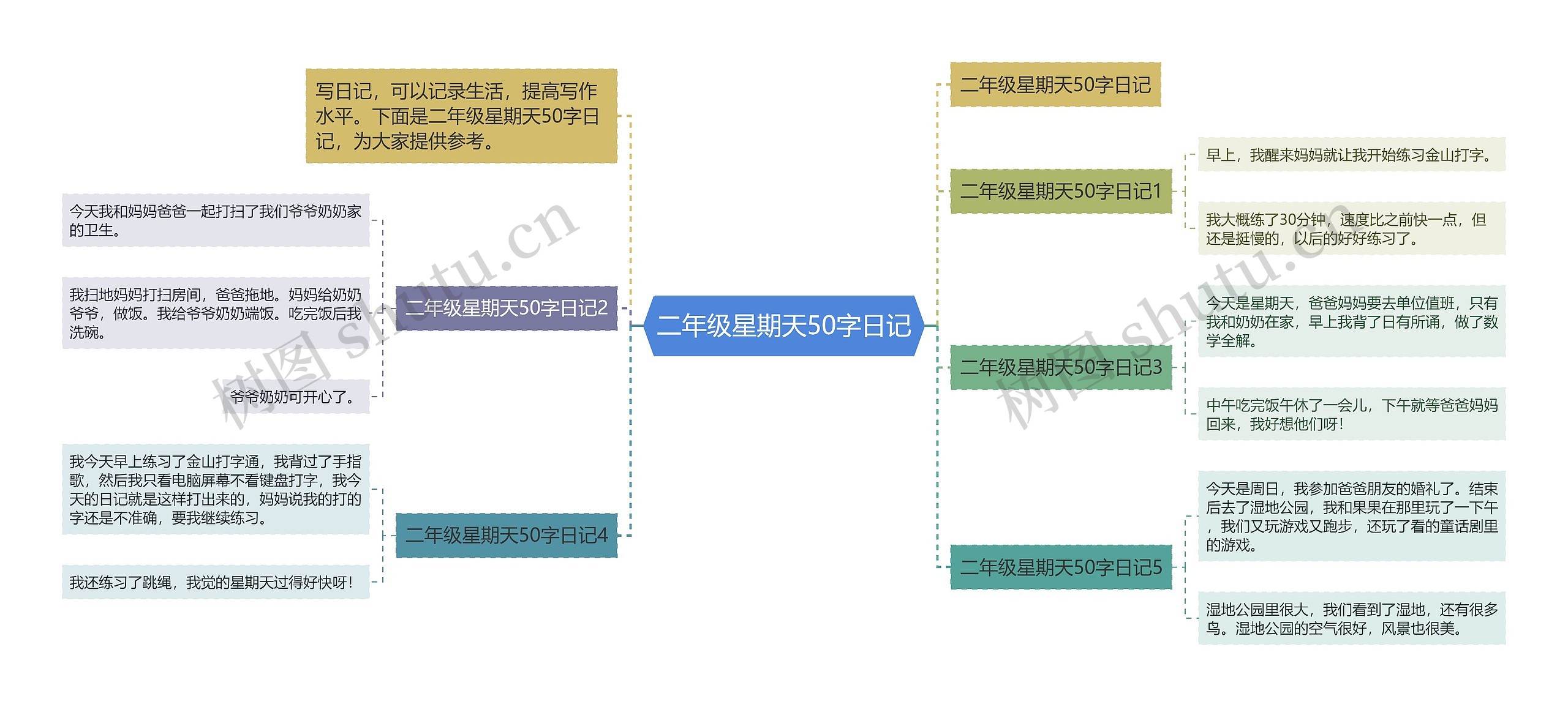 二年级星期天50字日记