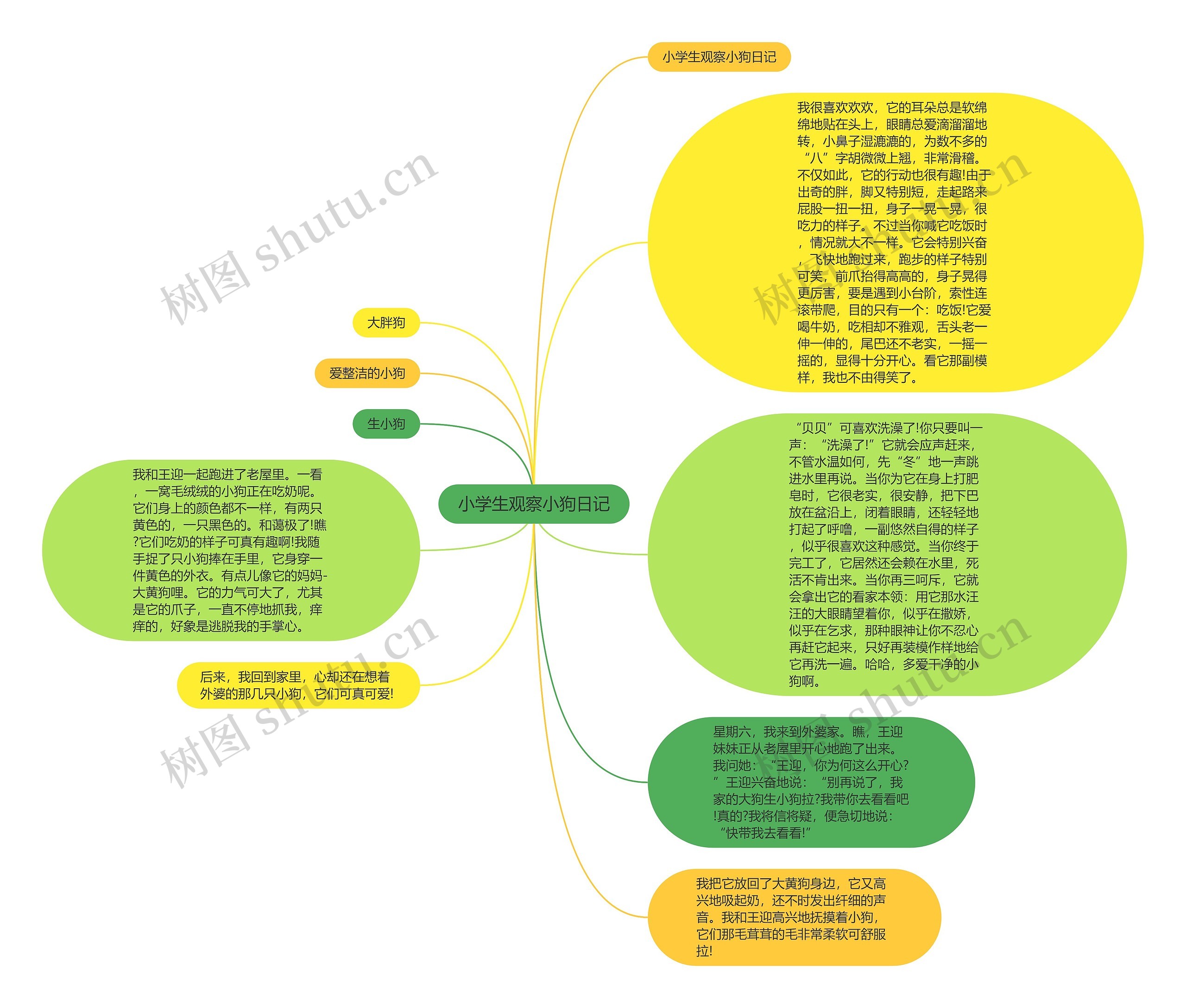 小学生观察小狗日记思维导图