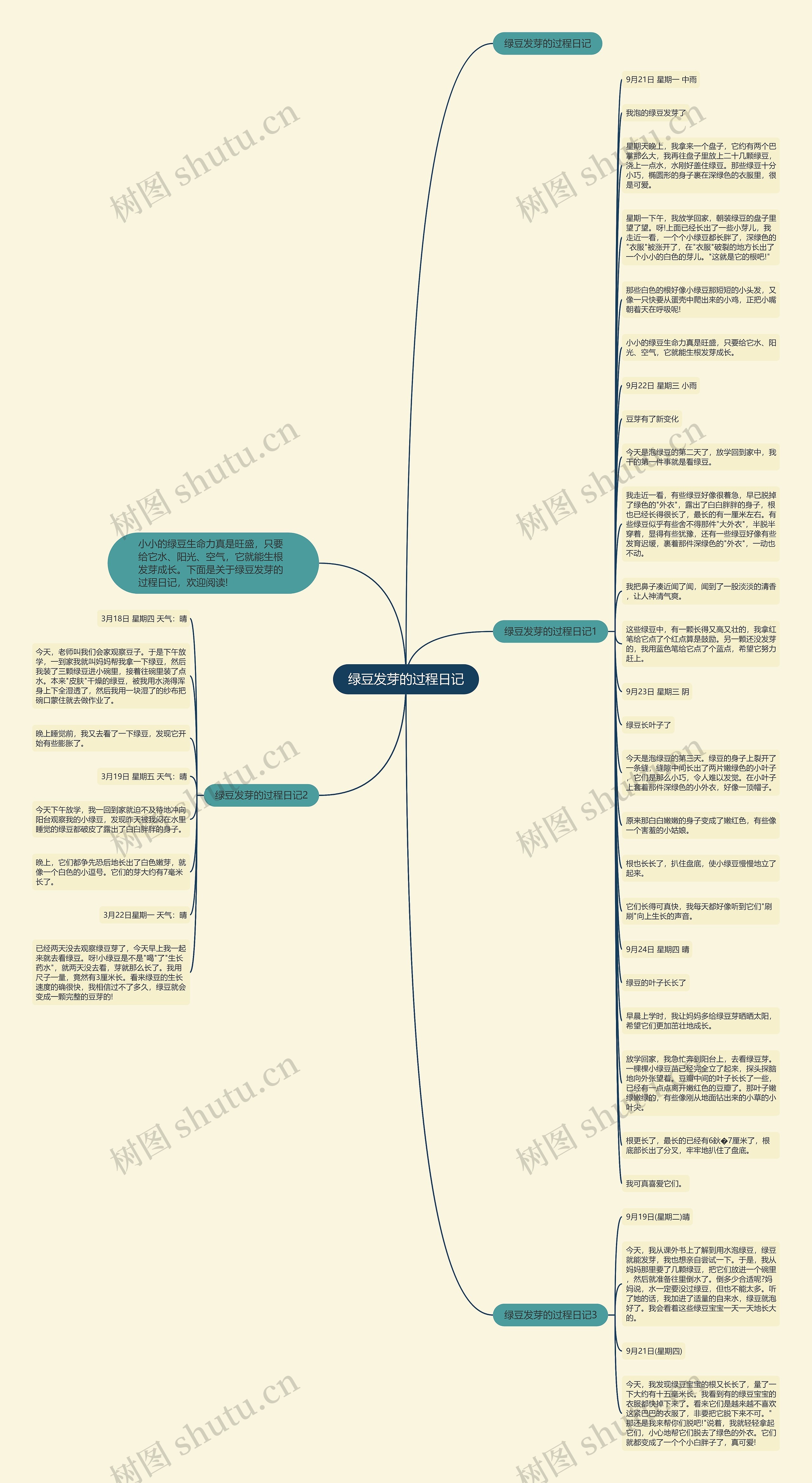 绿豆发芽的过程日记思维导图