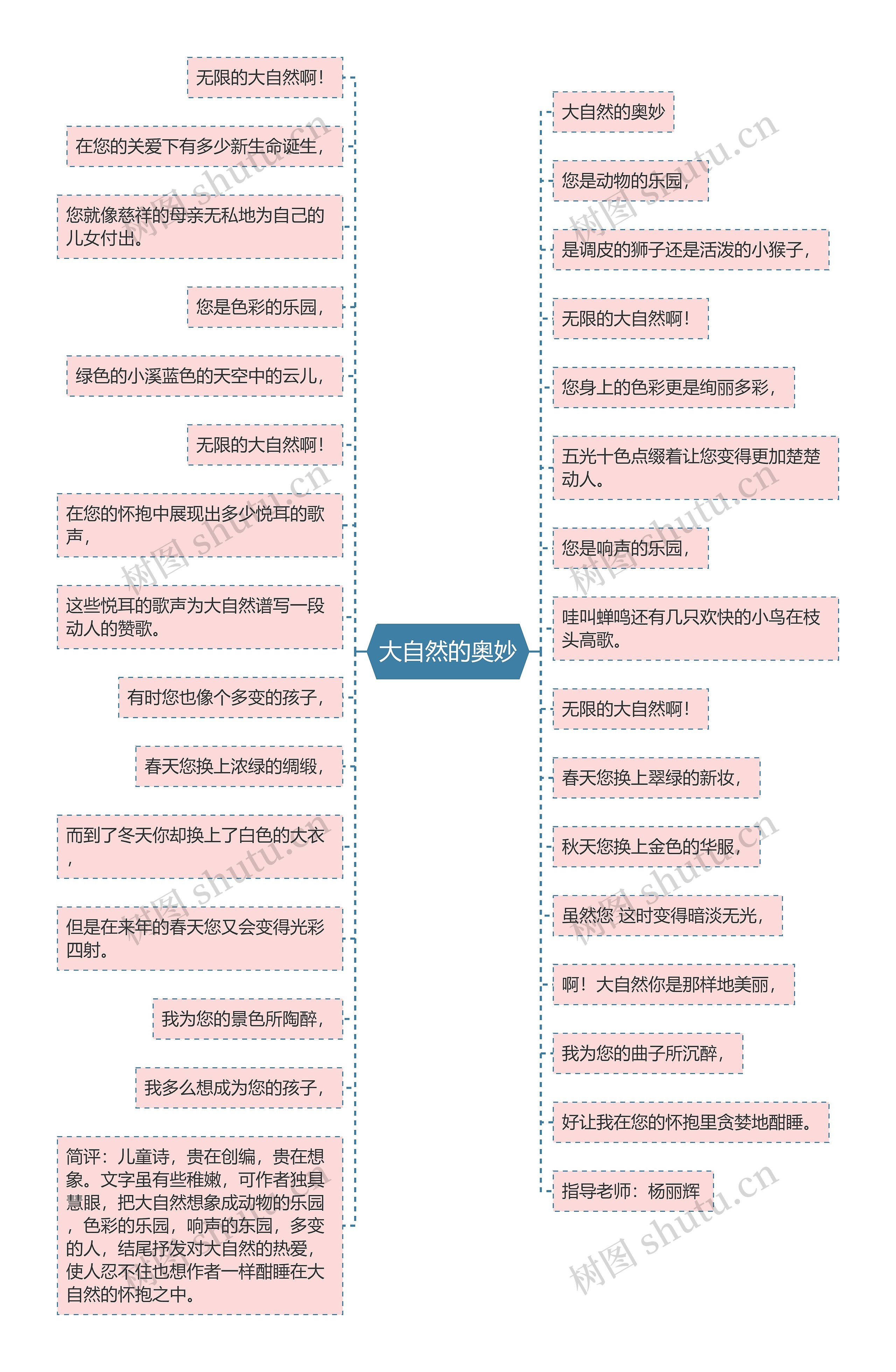 大自然的奥妙思维导图