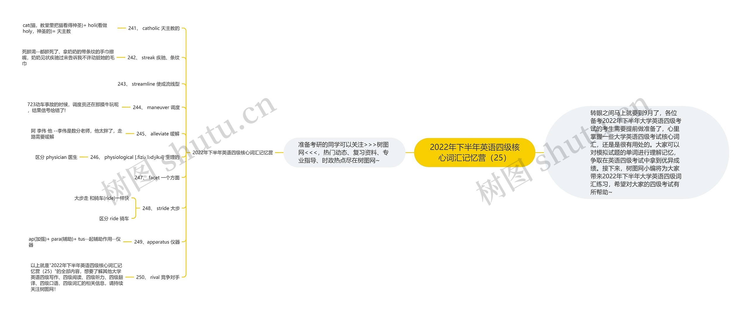 2022年下半年英语四级核心词汇记忆营（25）思维导图