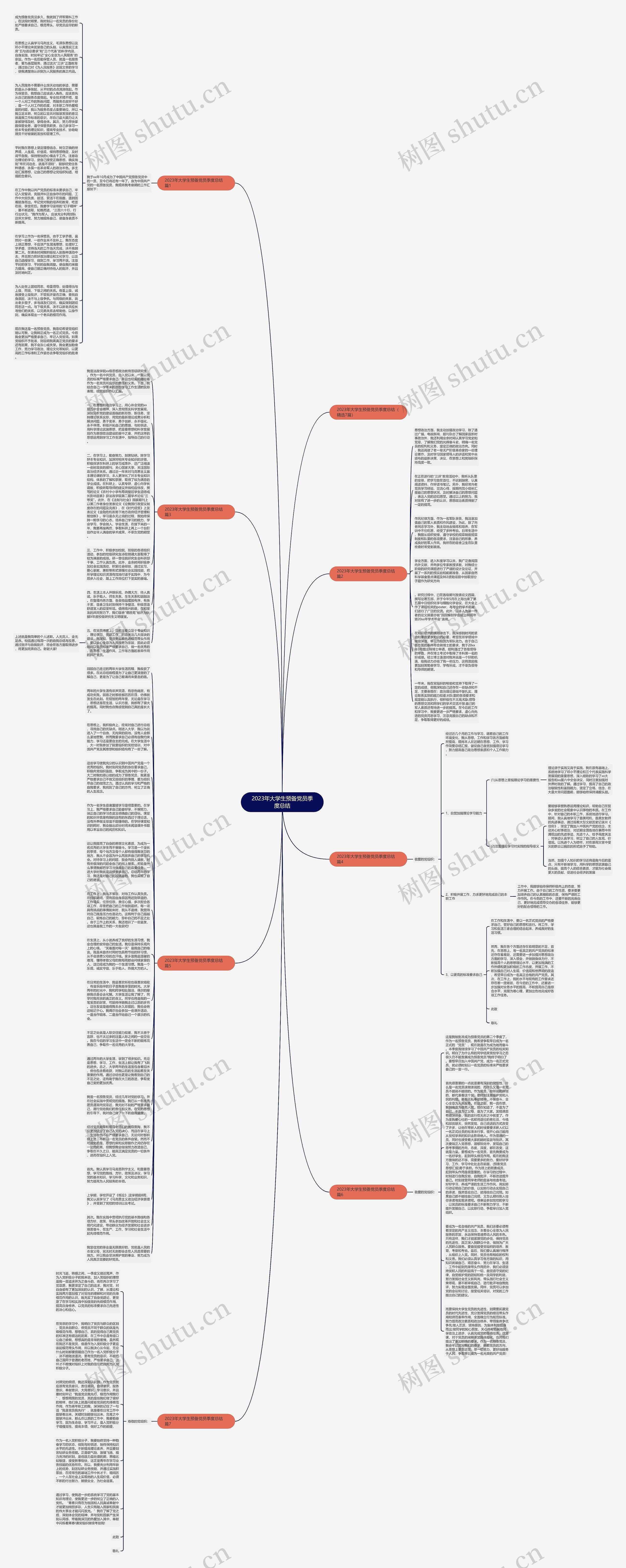 2023年大学生预备党员季度总结思维导图
