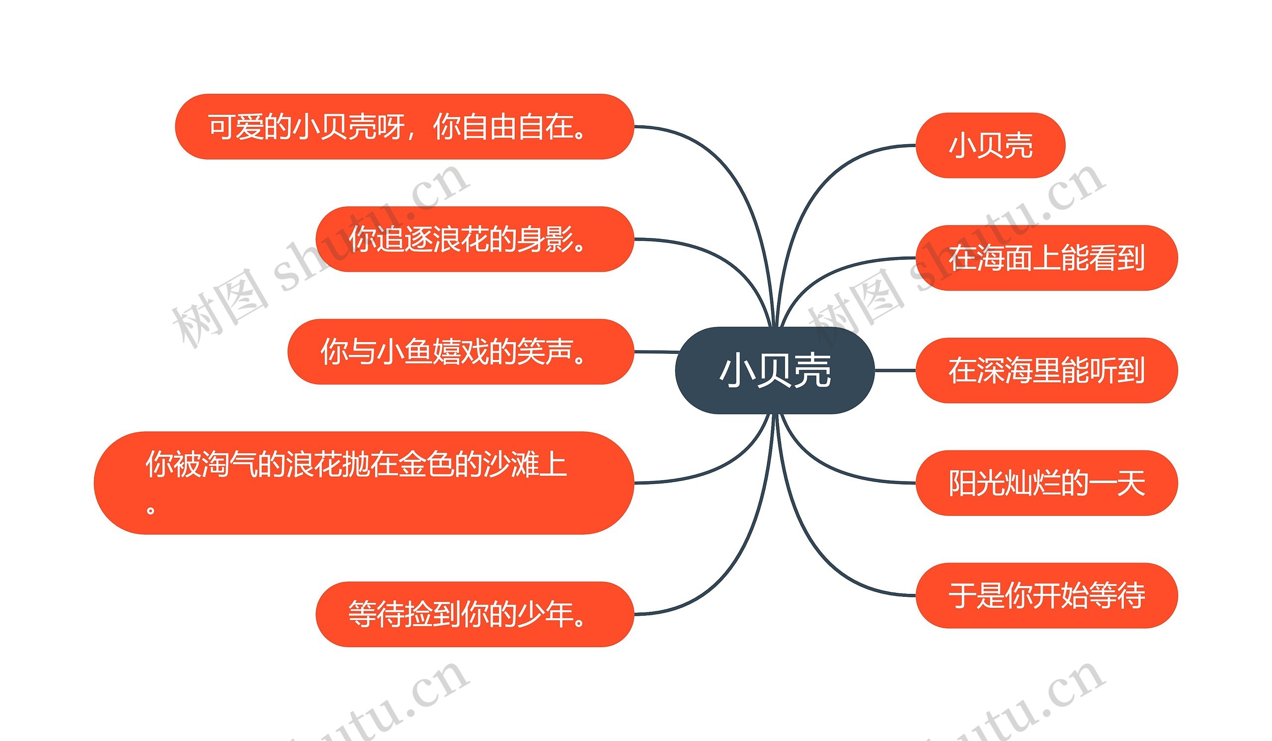 小贝壳思维导图