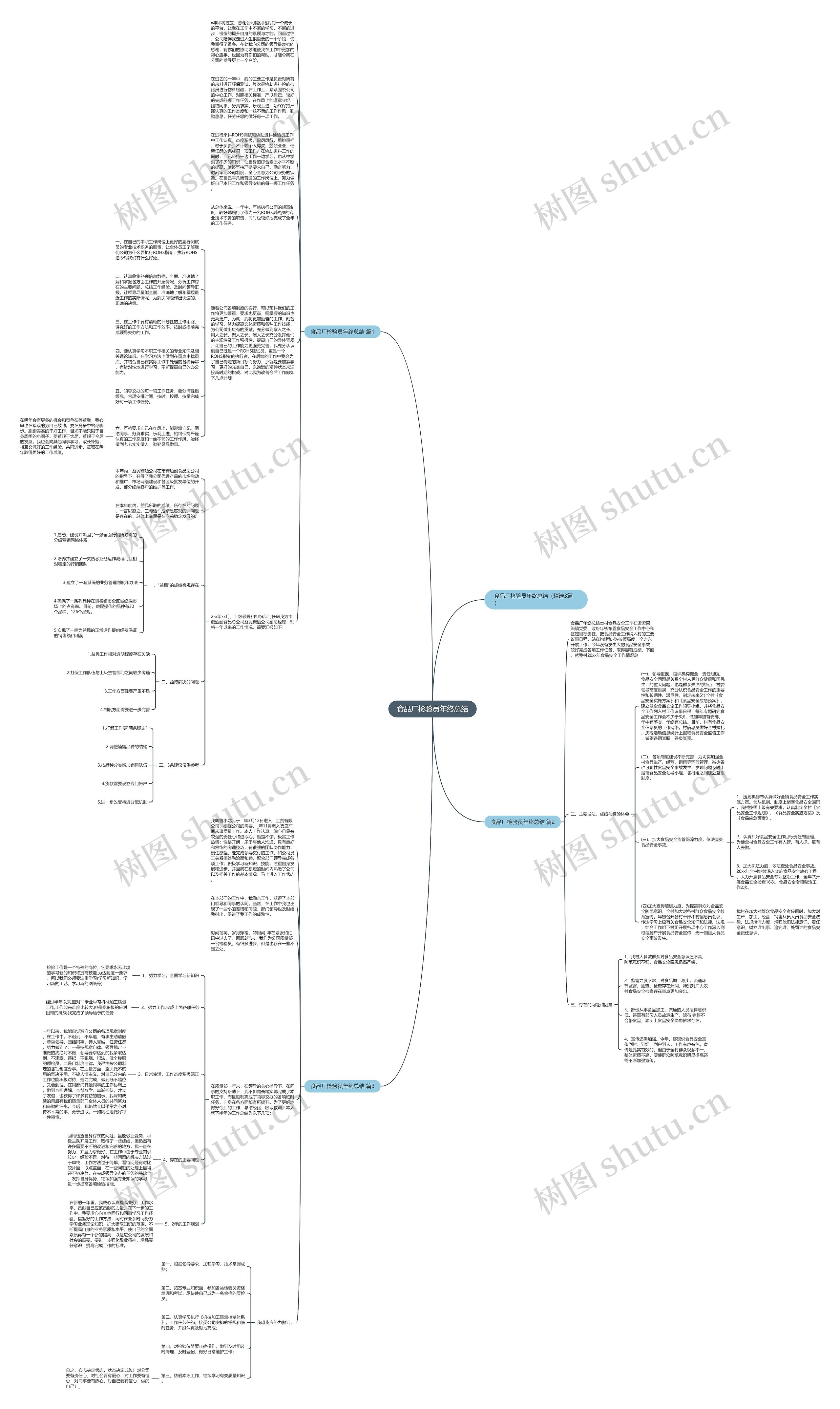 食品厂检验员年终总结思维导图