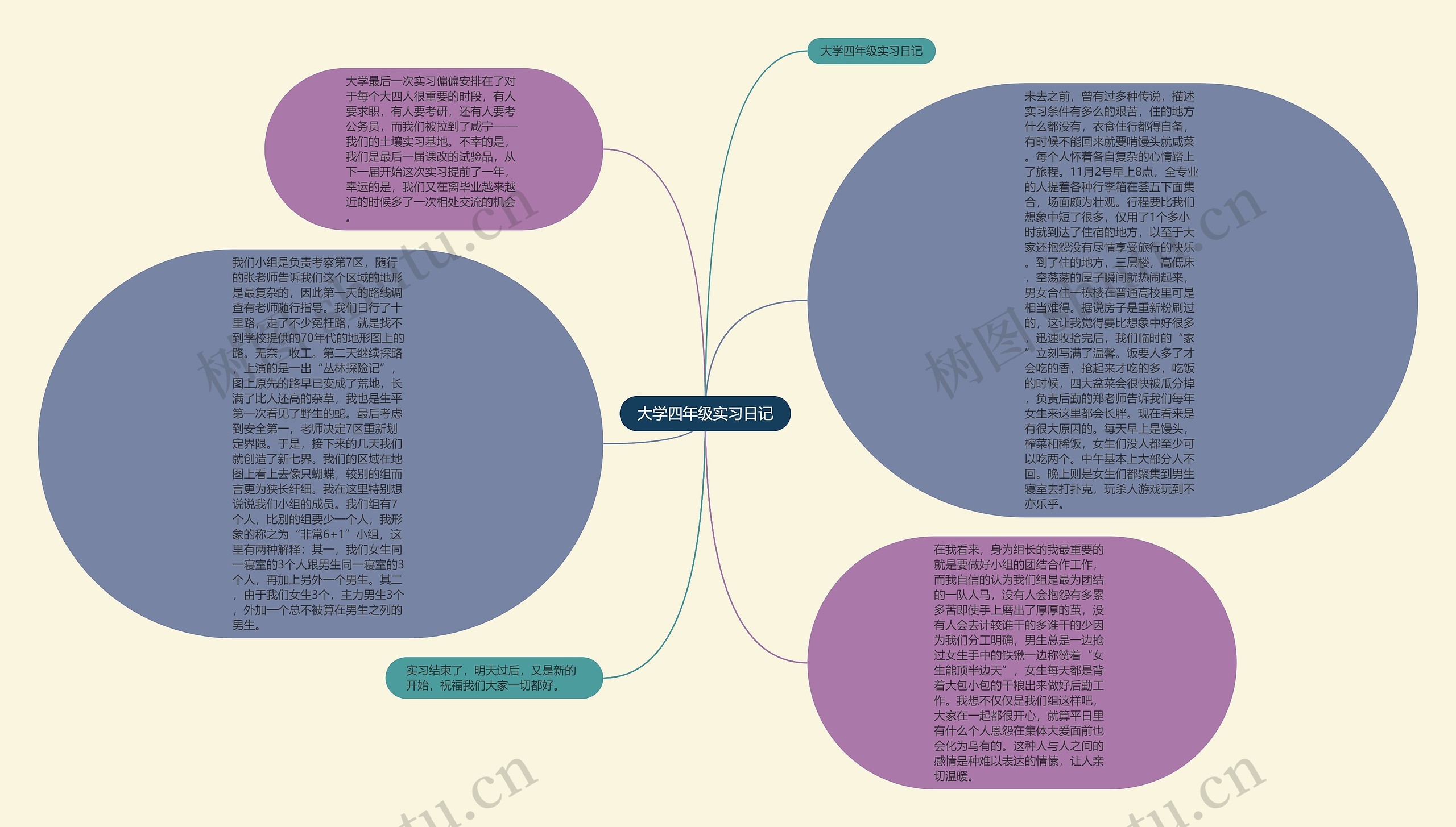 大学四年级实习日记思维导图