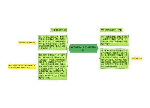 关于观察的小学生日记三篇