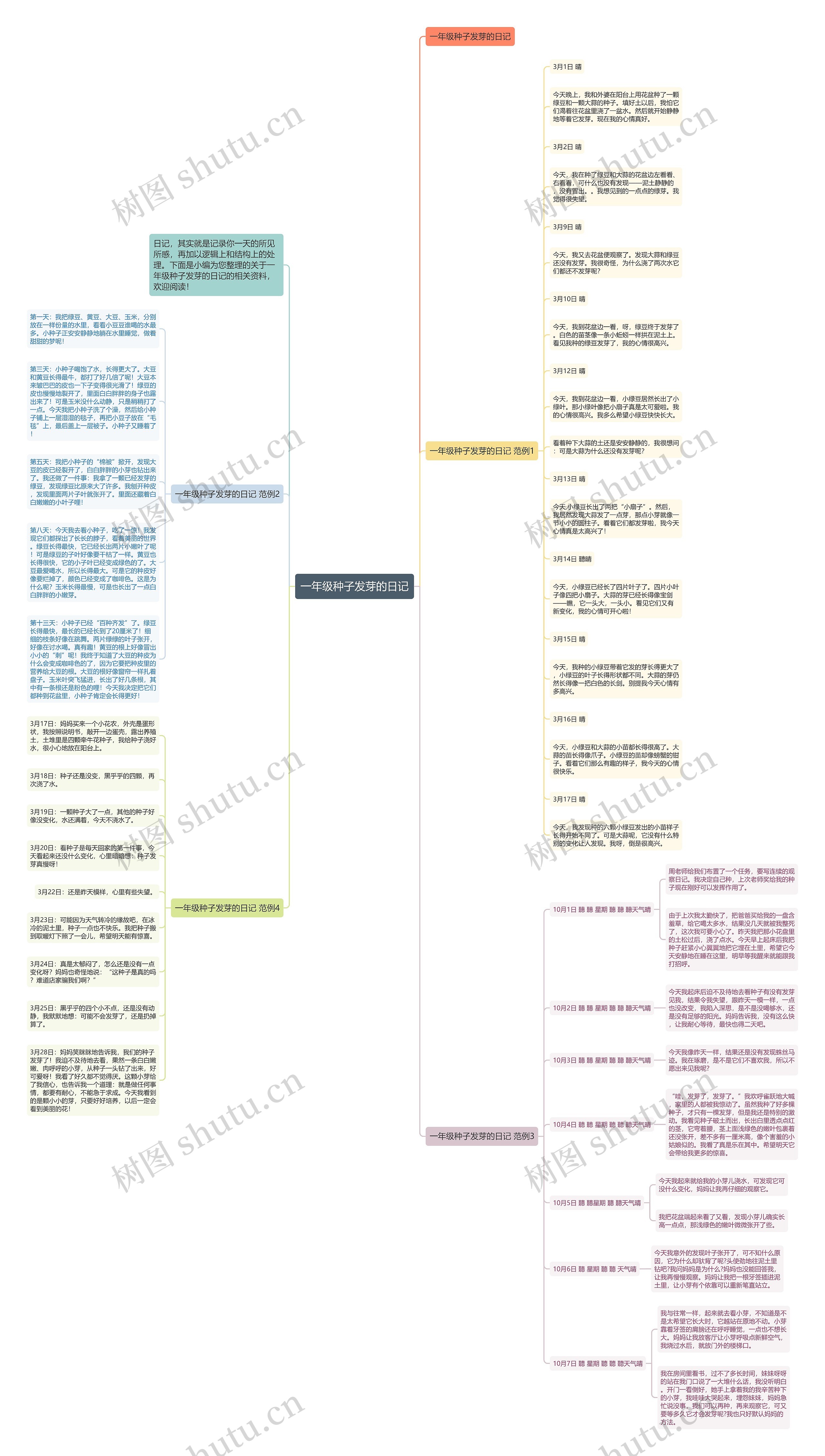 一年级种子发芽的日记思维导图