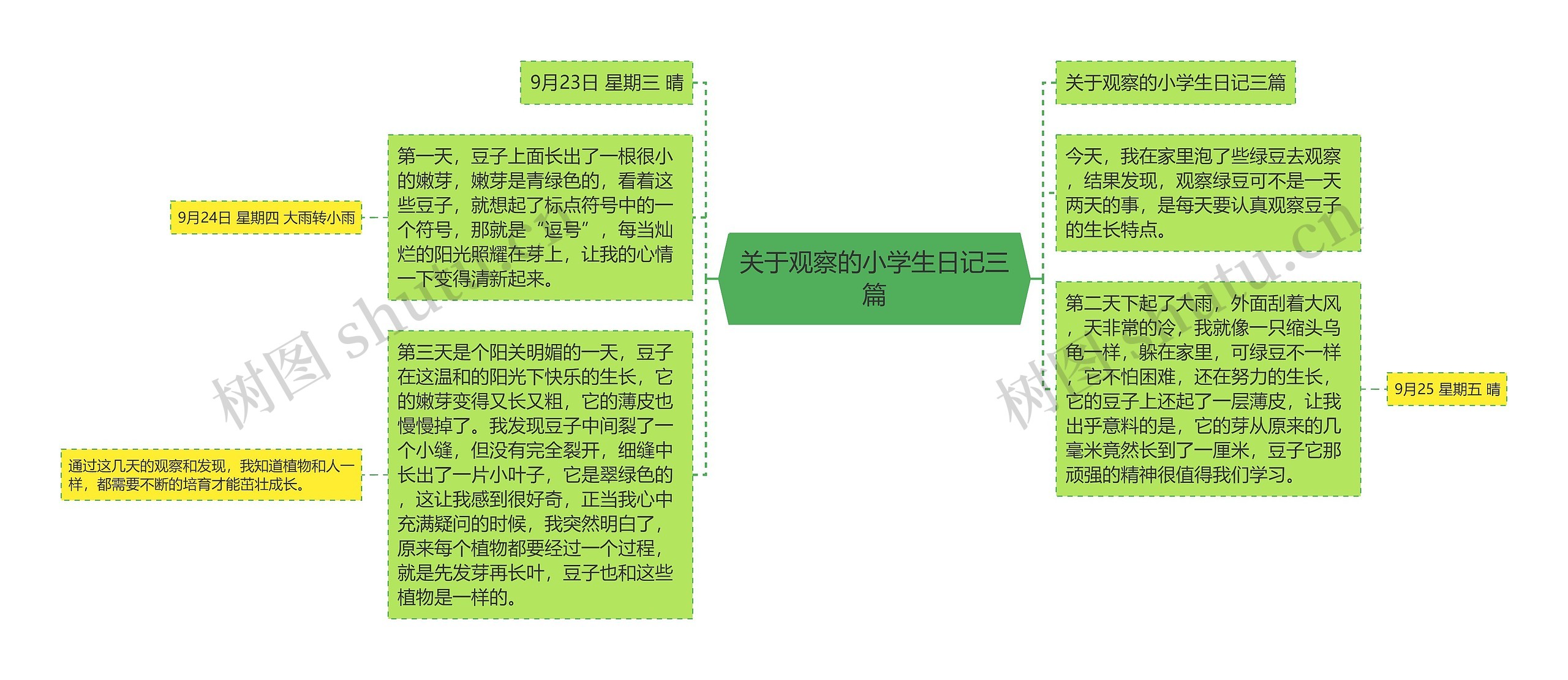 关于观察的小学生日记三篇