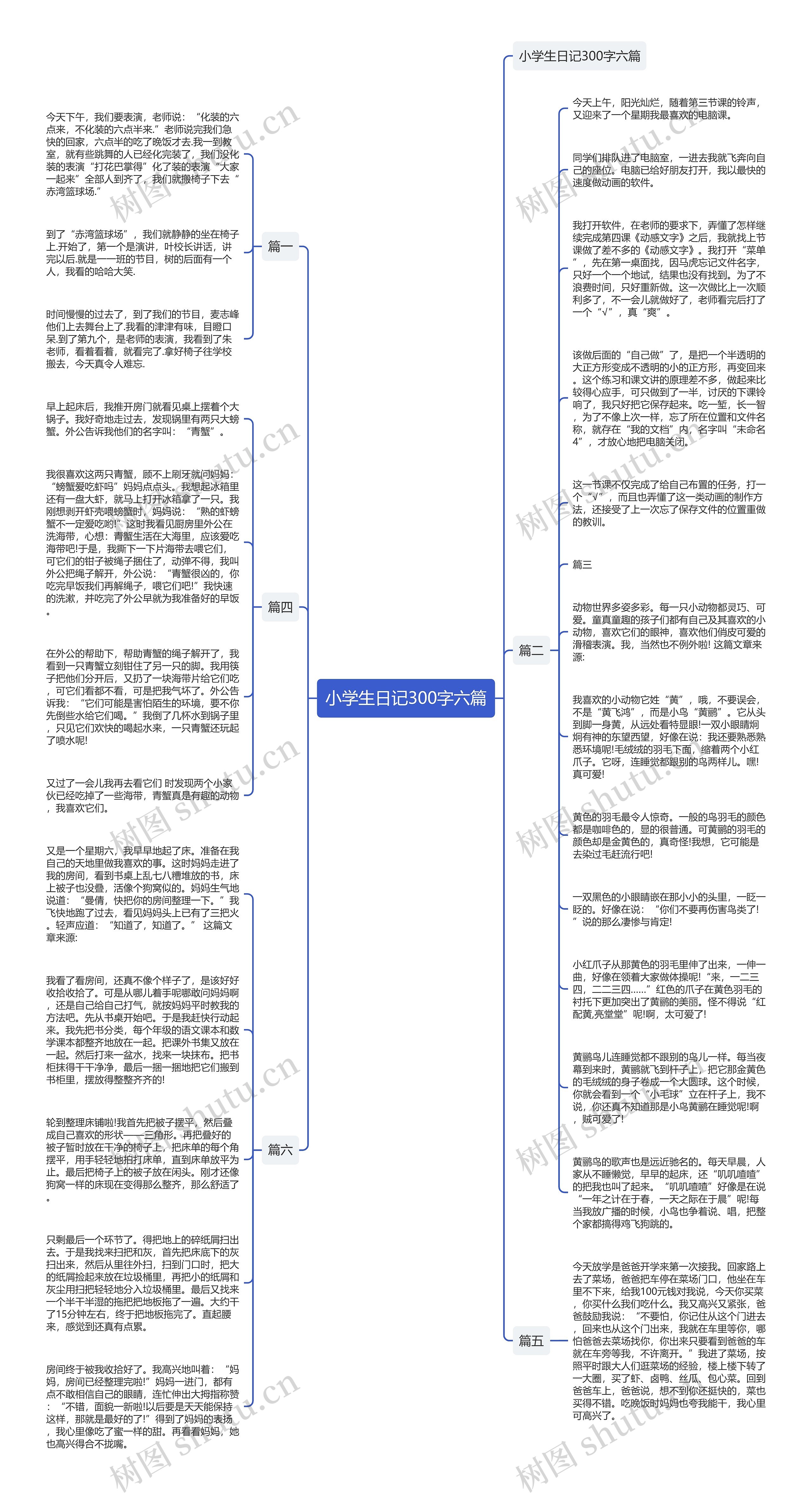 小学生日记300字六篇