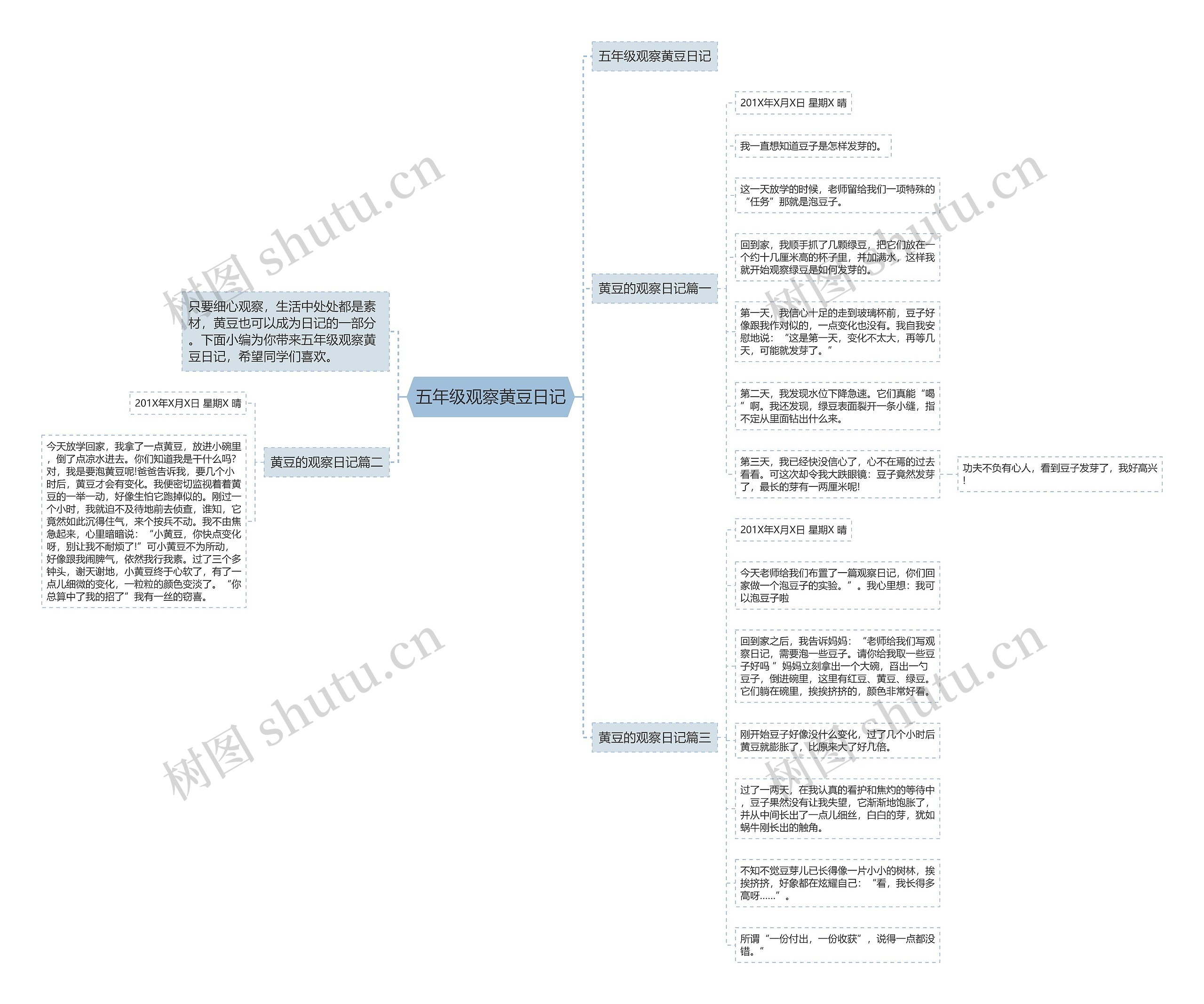 五年级观察黄豆日记思维导图
