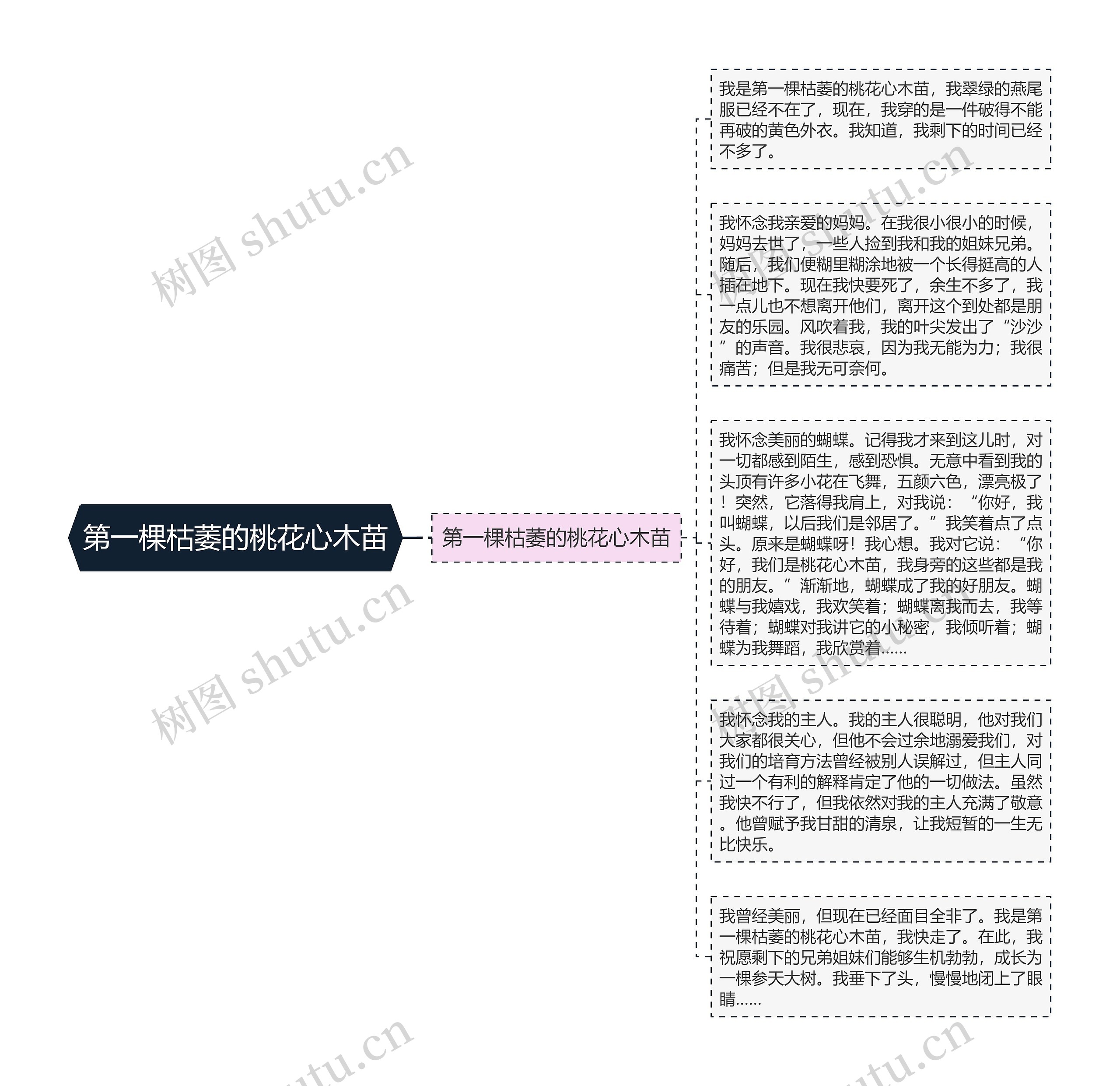 第一棵枯萎的桃花心木苗思维导图