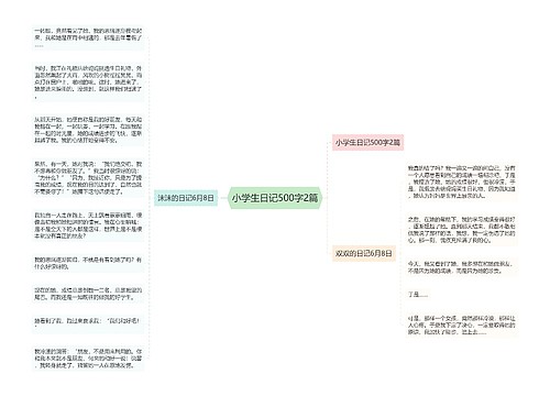 小学生日记500字2篇