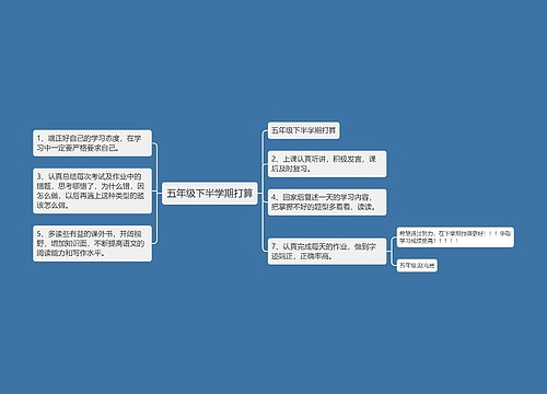 五年级下半学期打算