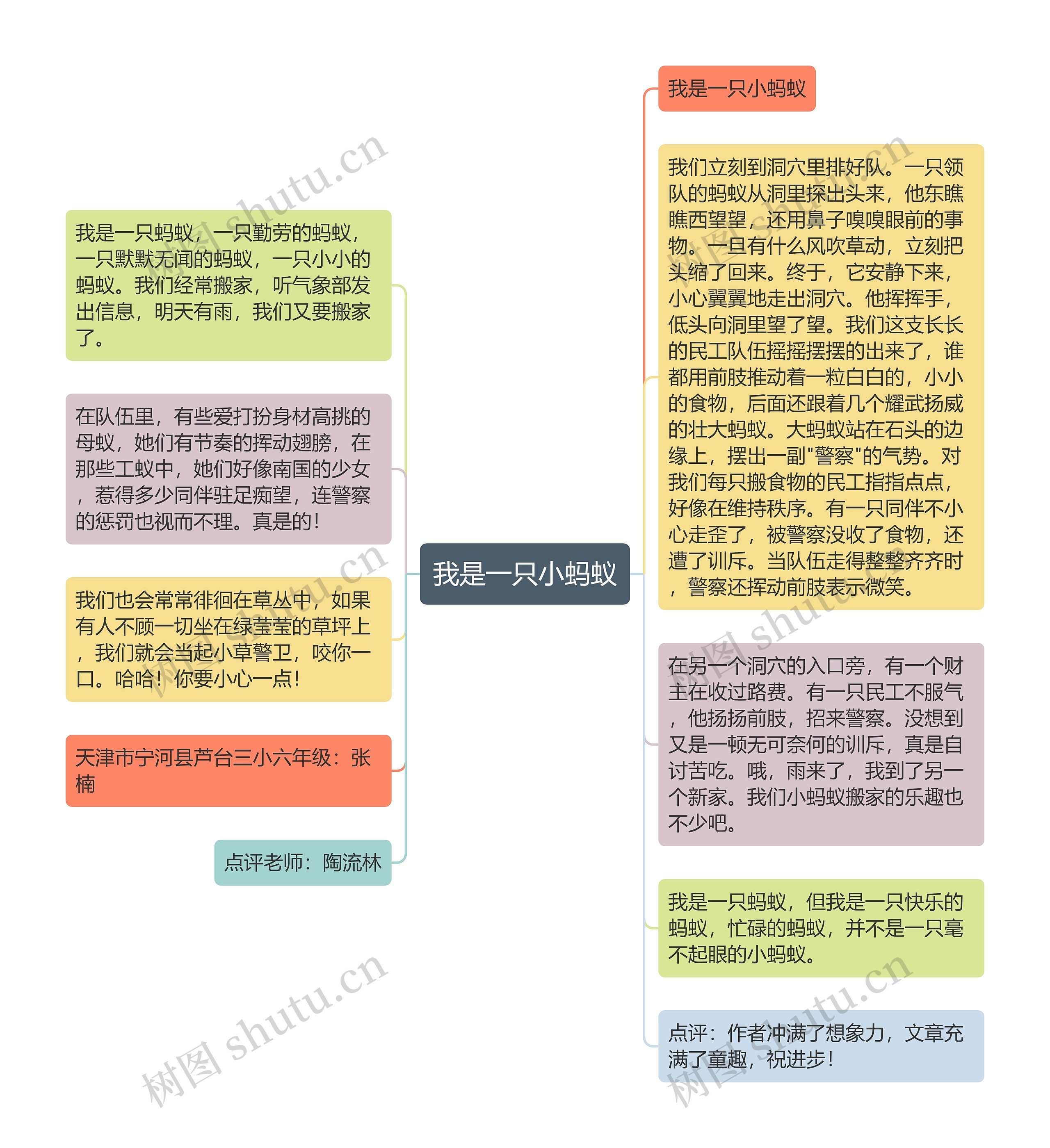 我是一只小蚂蚁思维导图