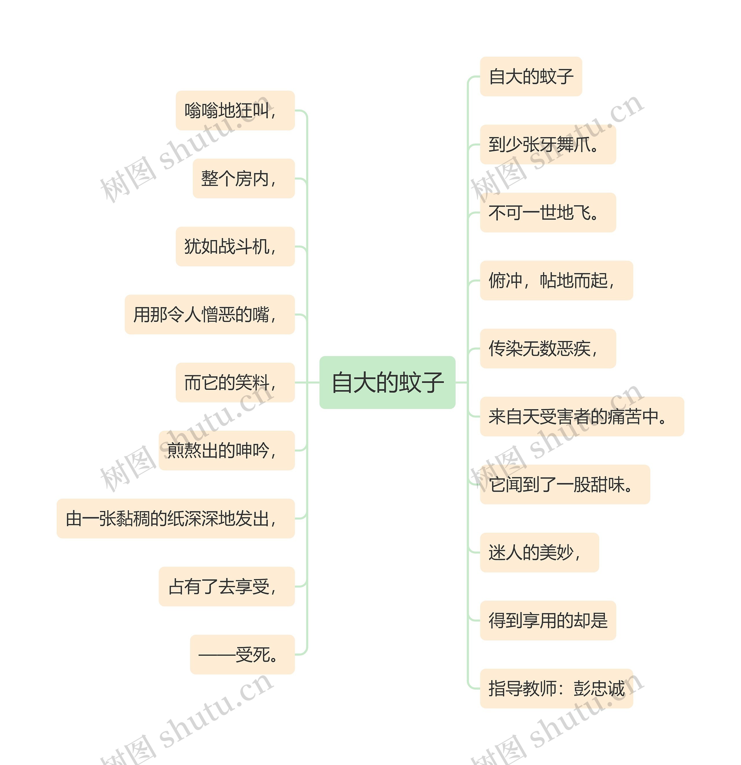 自大的蚊子思维导图