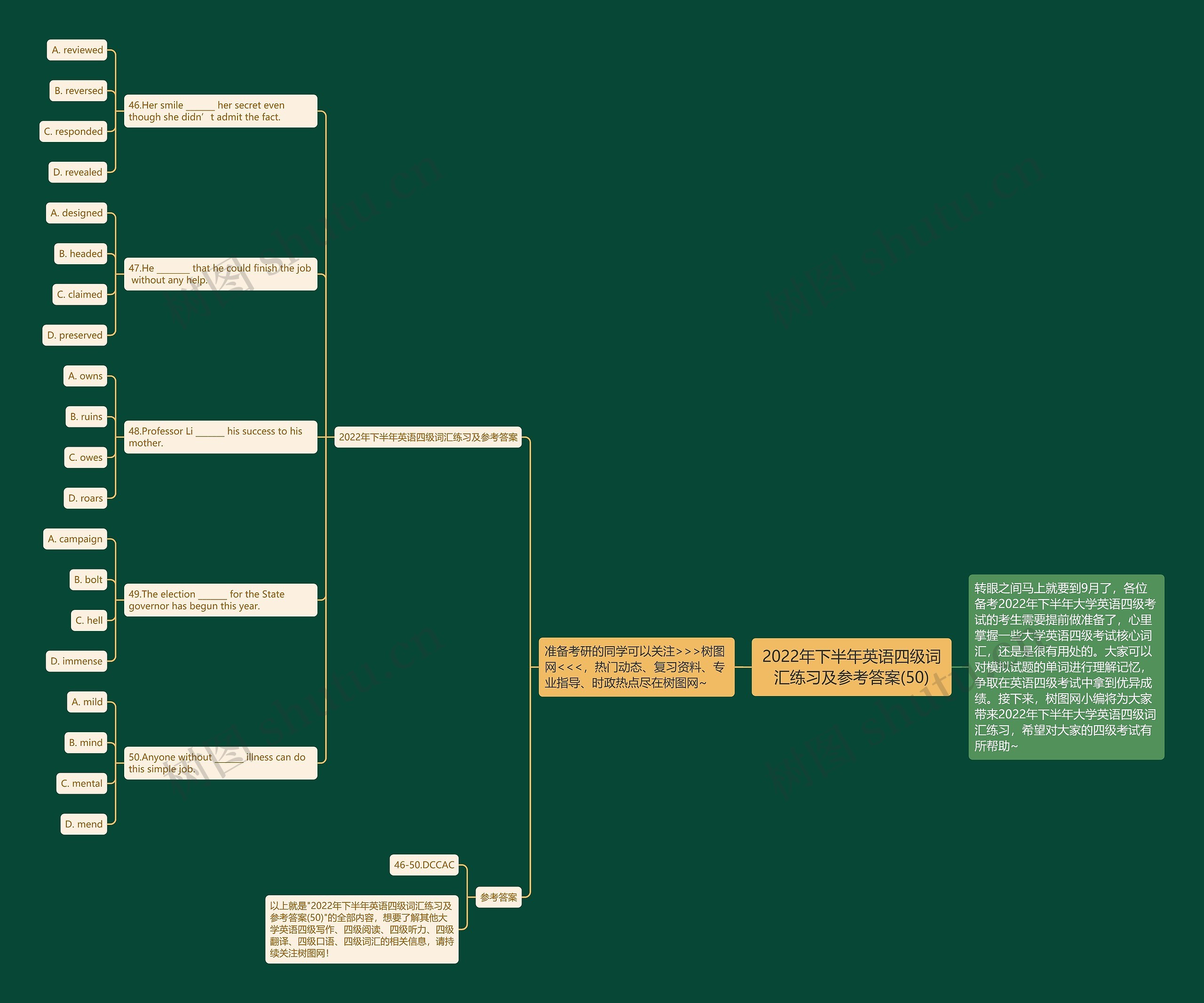 2022年下半年英语四级词汇练习及参考答案(50)思维导图