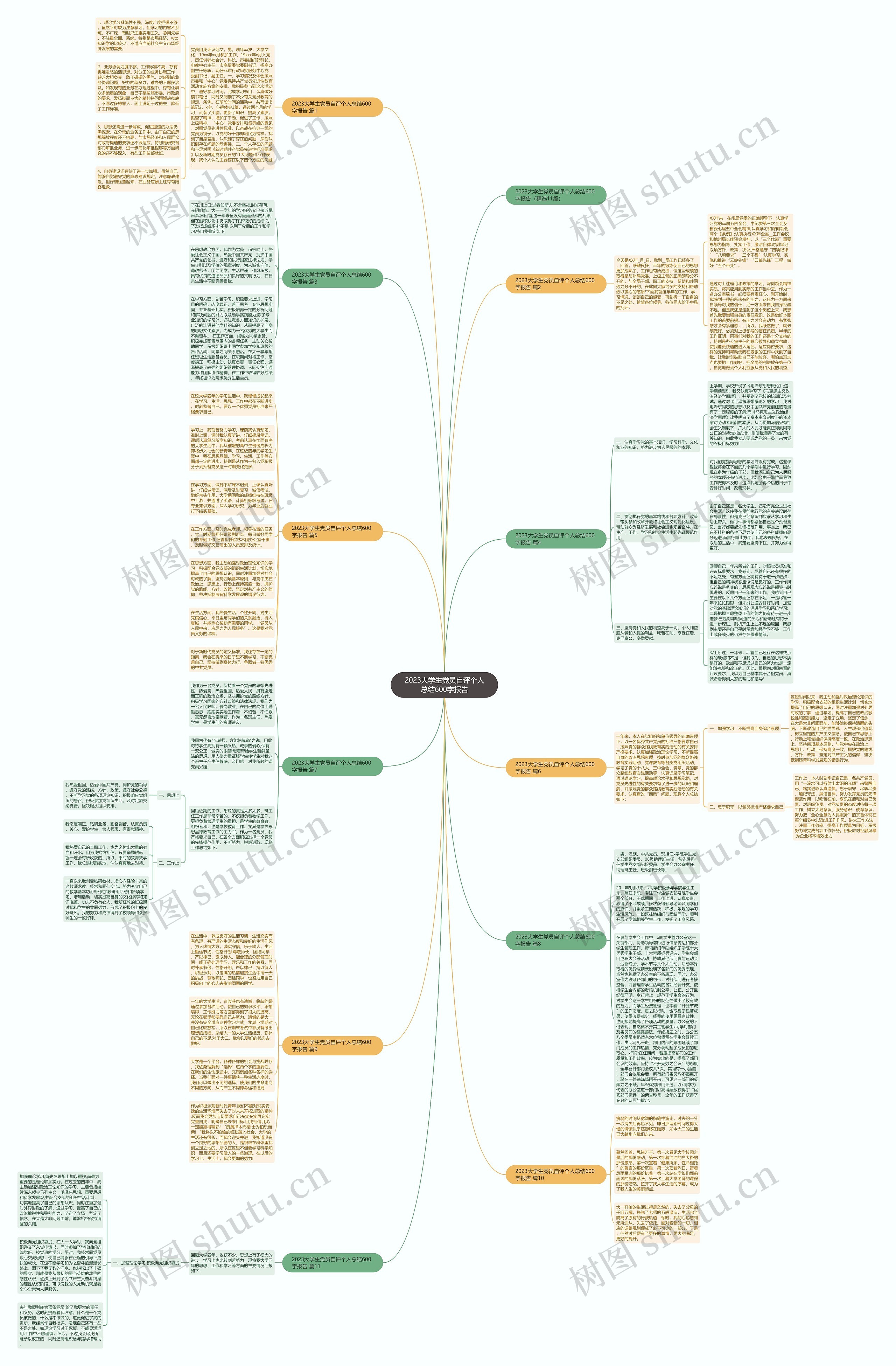 2023大学生党员自评个人总结600字报告思维导图