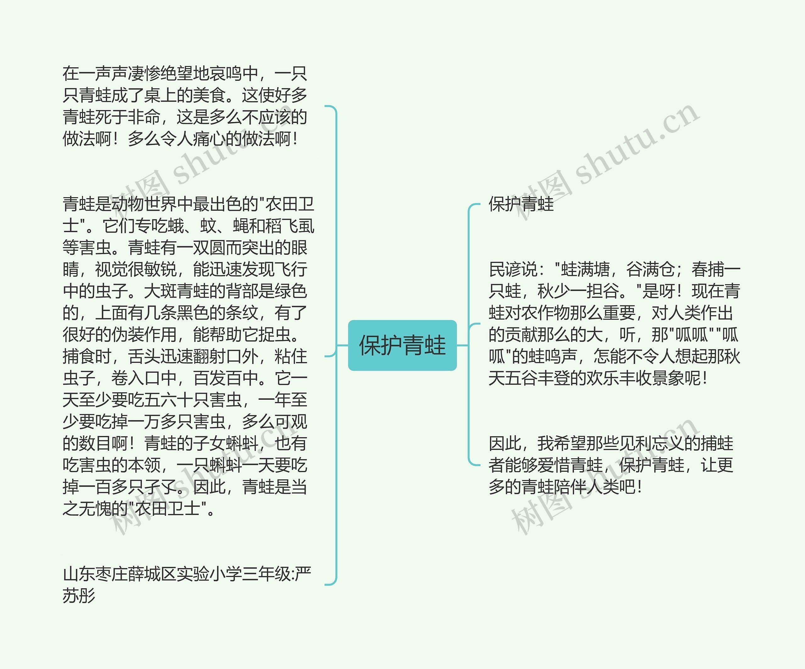 保护青蛙思维导图