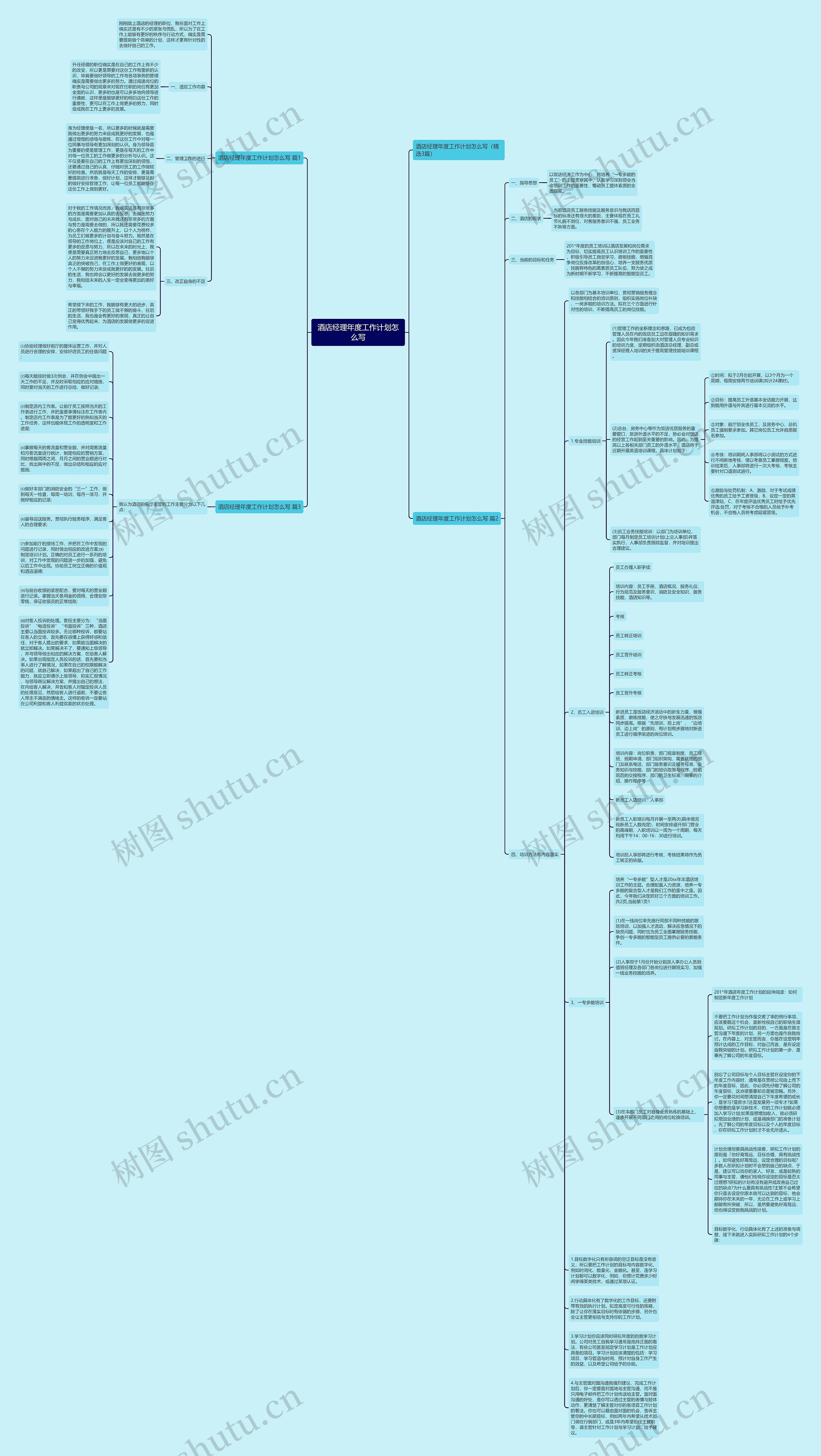 酒店经理年度工作计划怎么写思维导图