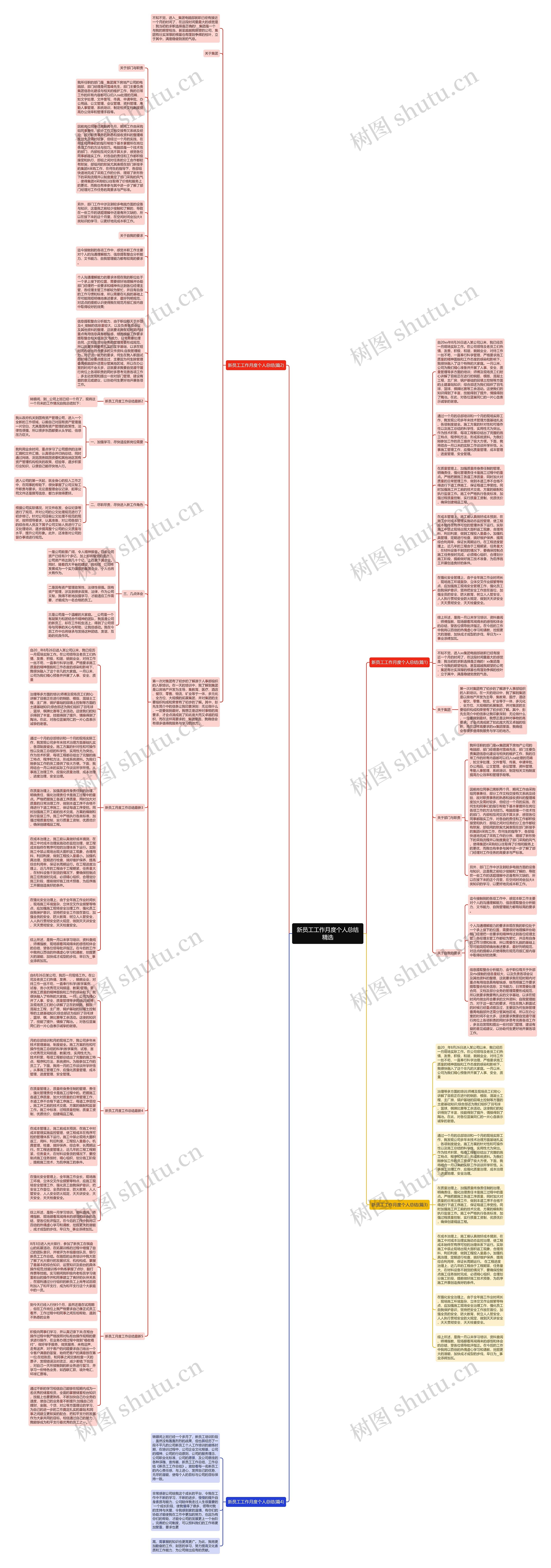 新员工工作月度个人总结精选思维导图