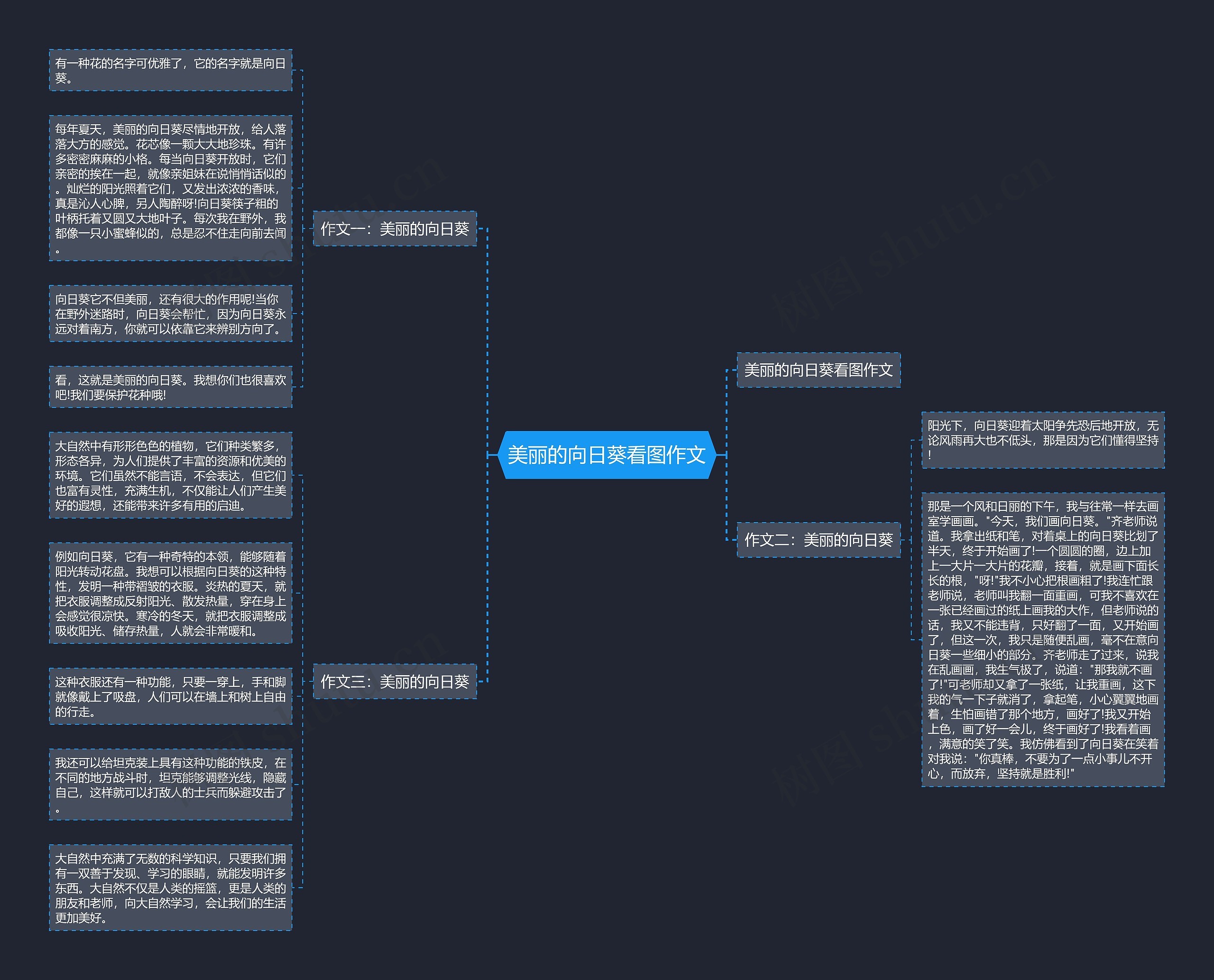 美丽的向日葵看图作文思维导图