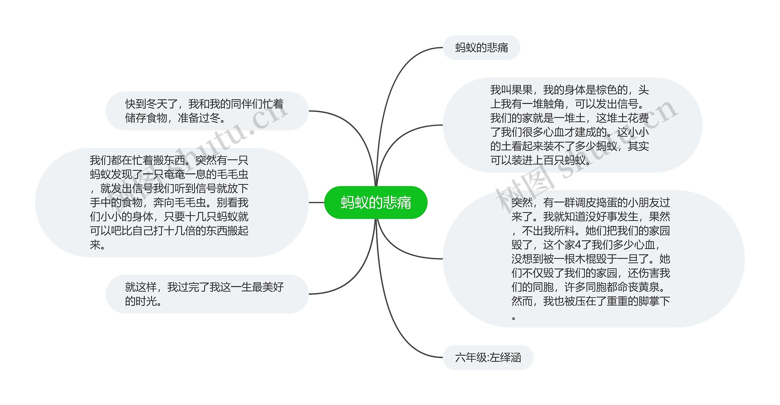 蚂蚁的悲痛思维导图