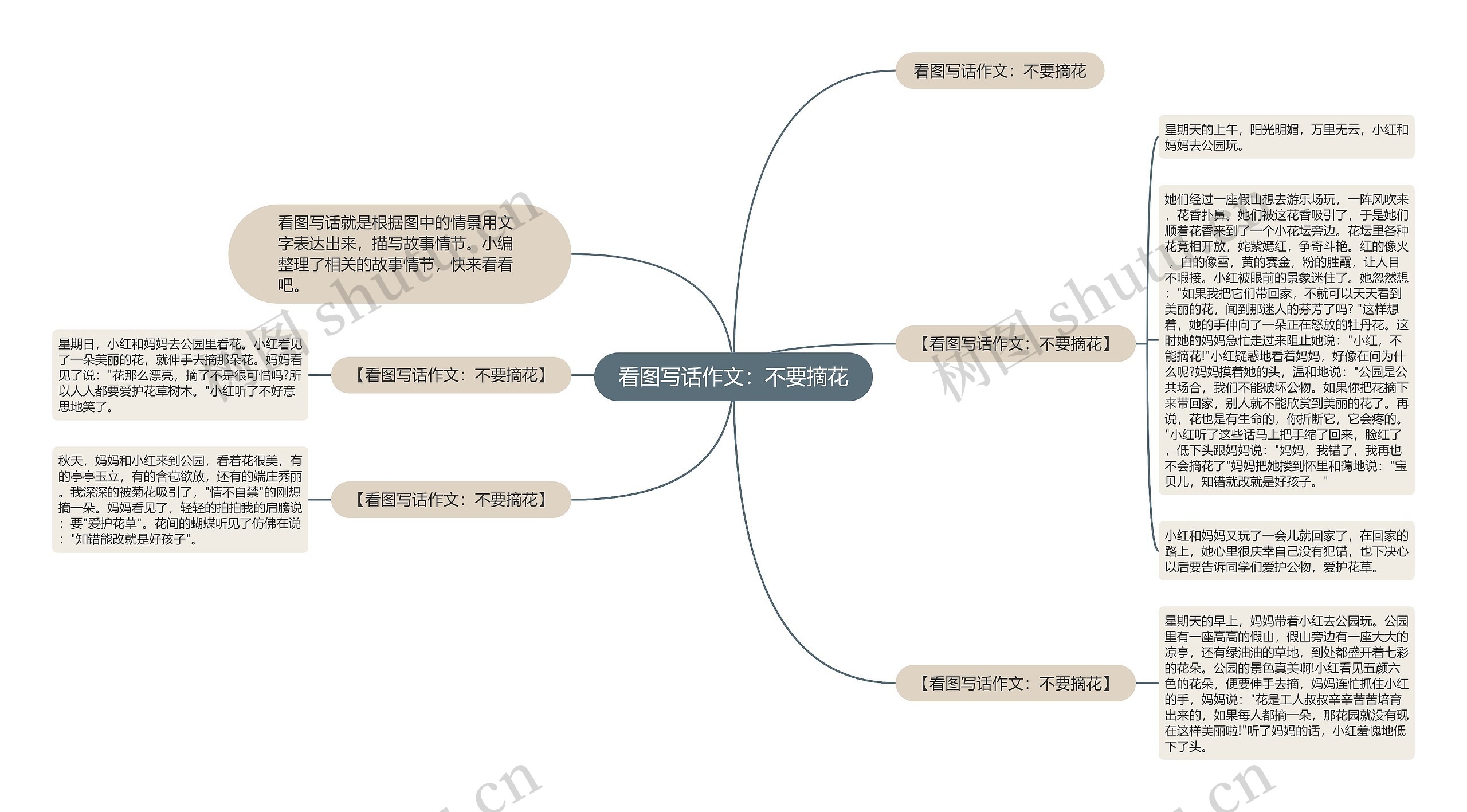 看图写话作文：不要摘花思维导图