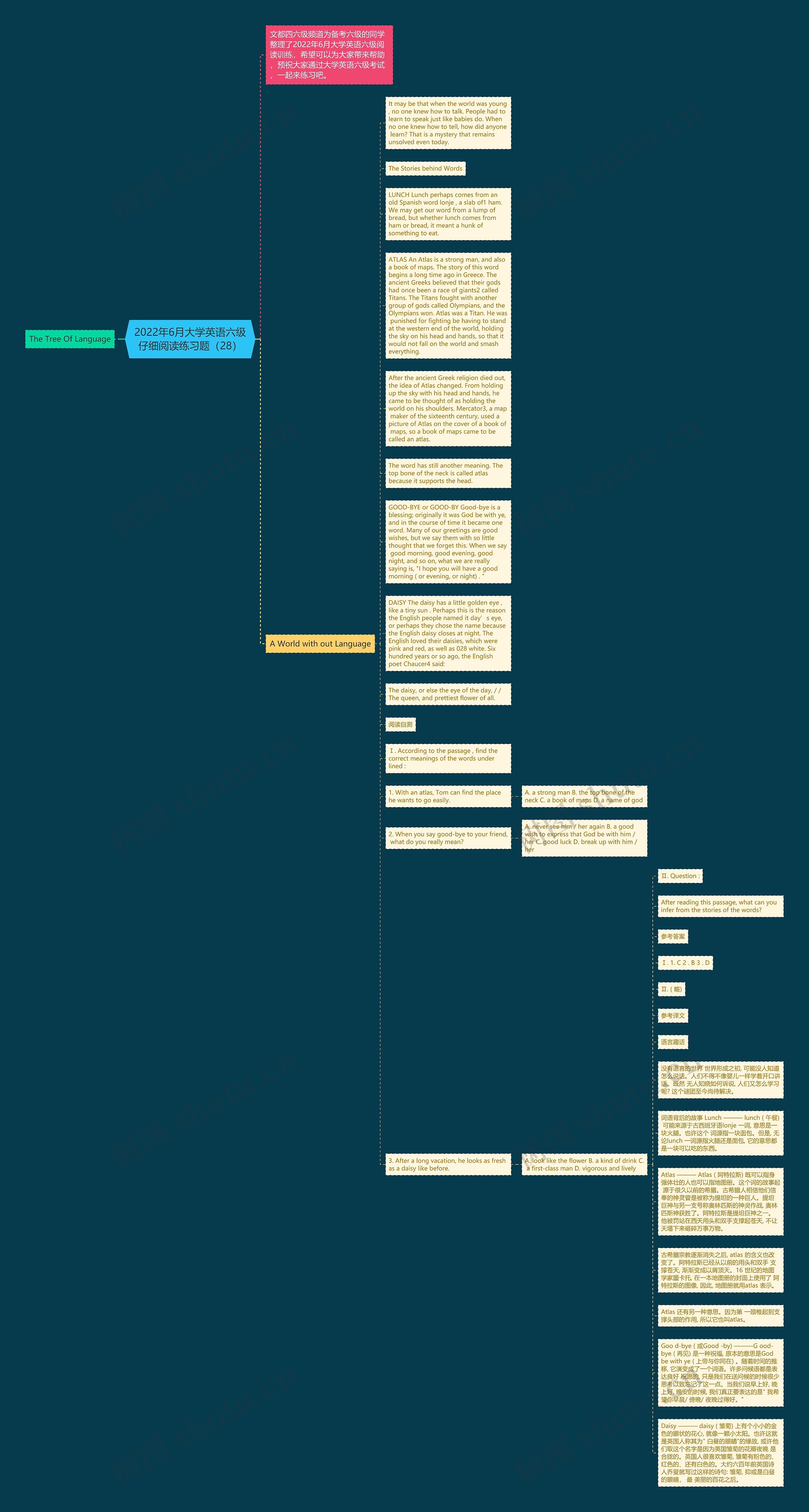 2022年6月大学英语六级仔细阅读练习题（28）思维导图