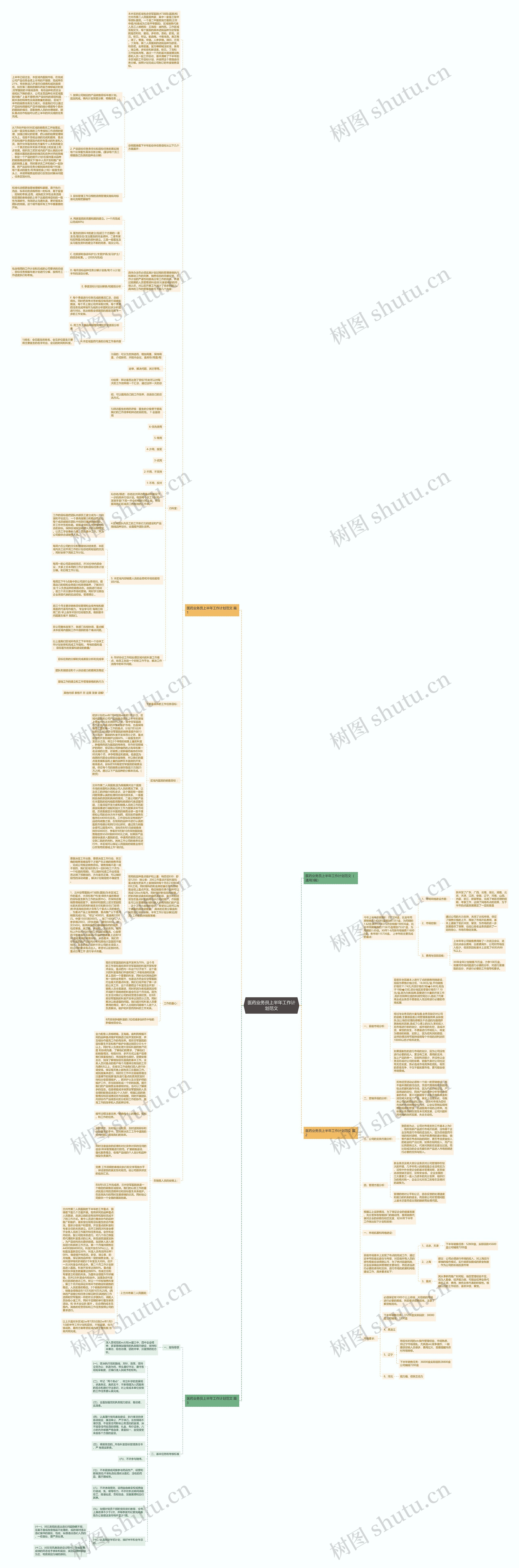 医药业务员上半年工作计划范文思维导图