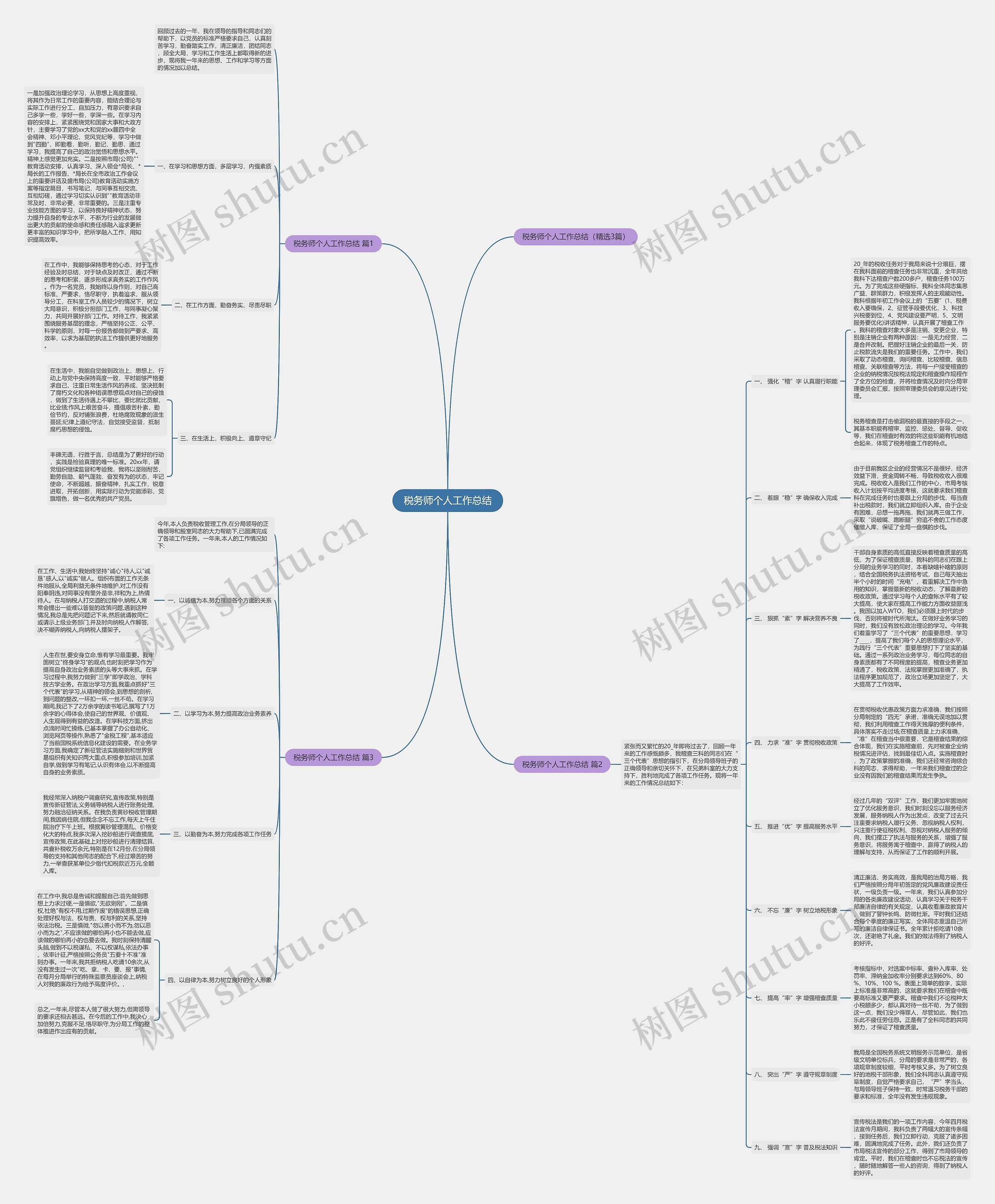 税务师个人工作总结思维导图