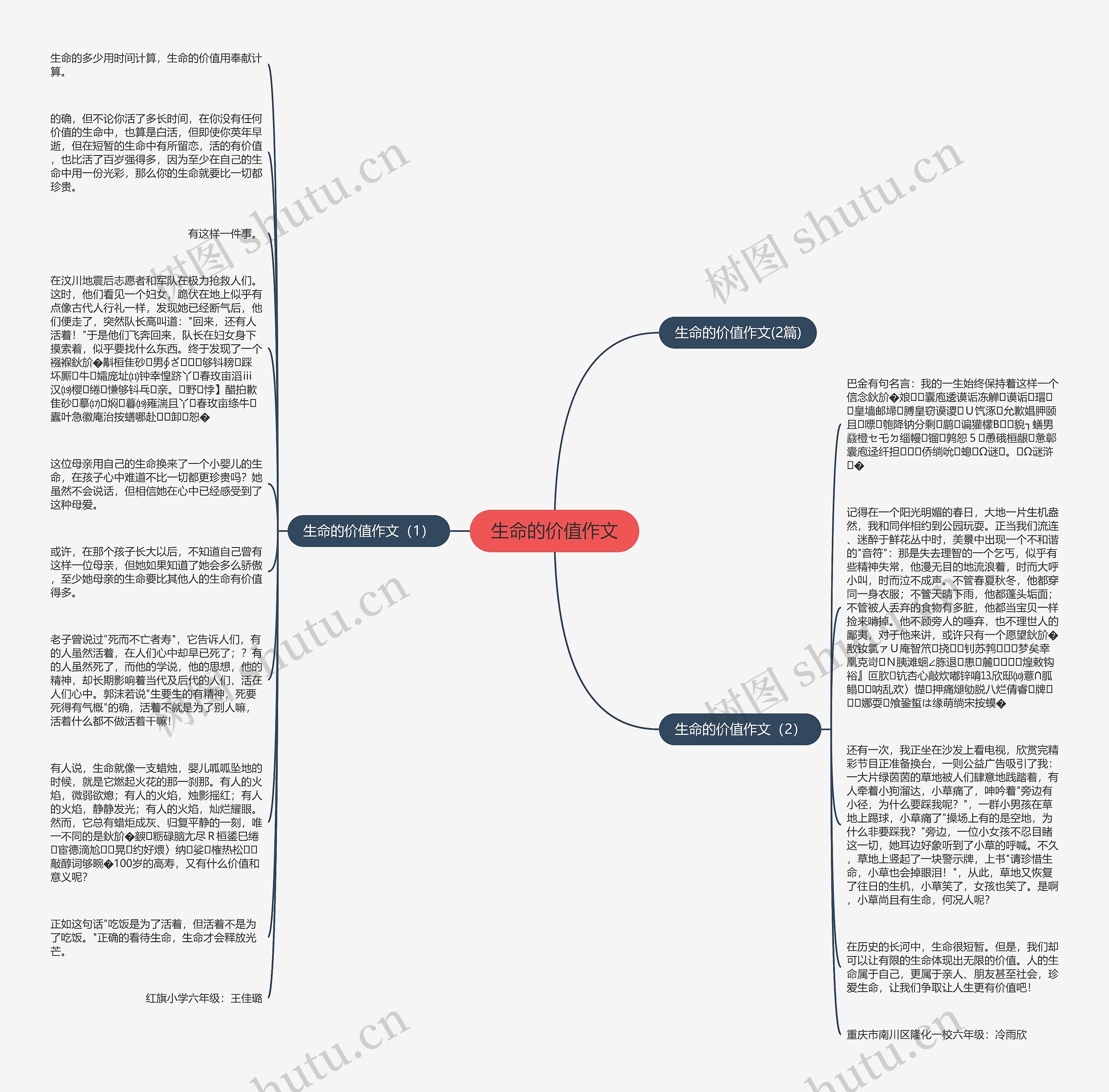 生命的价值作文思维导图