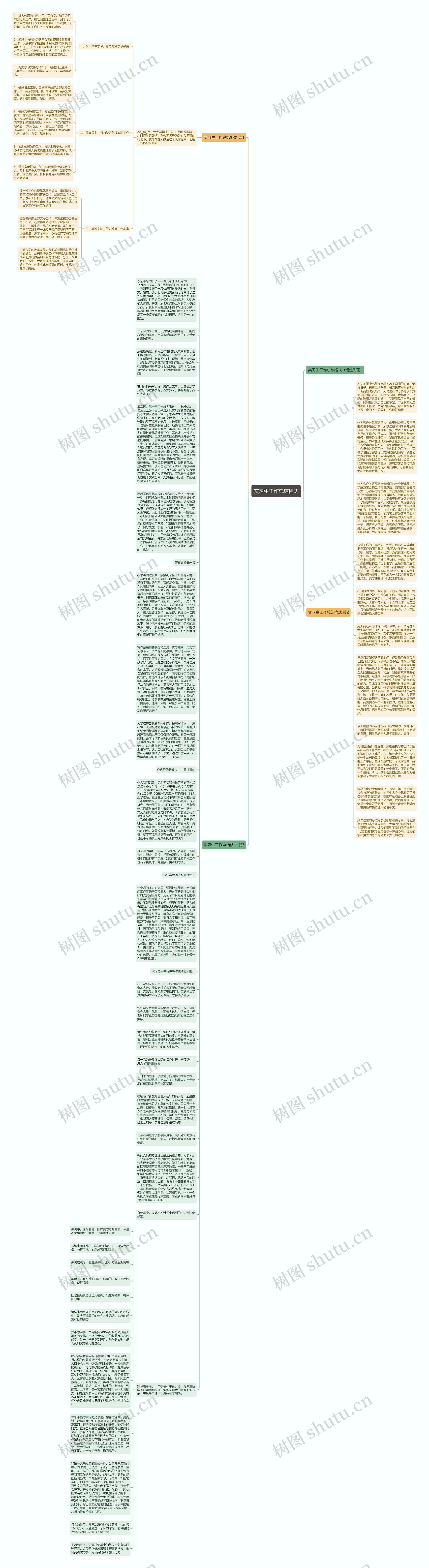 实习生工作总结格式思维导图